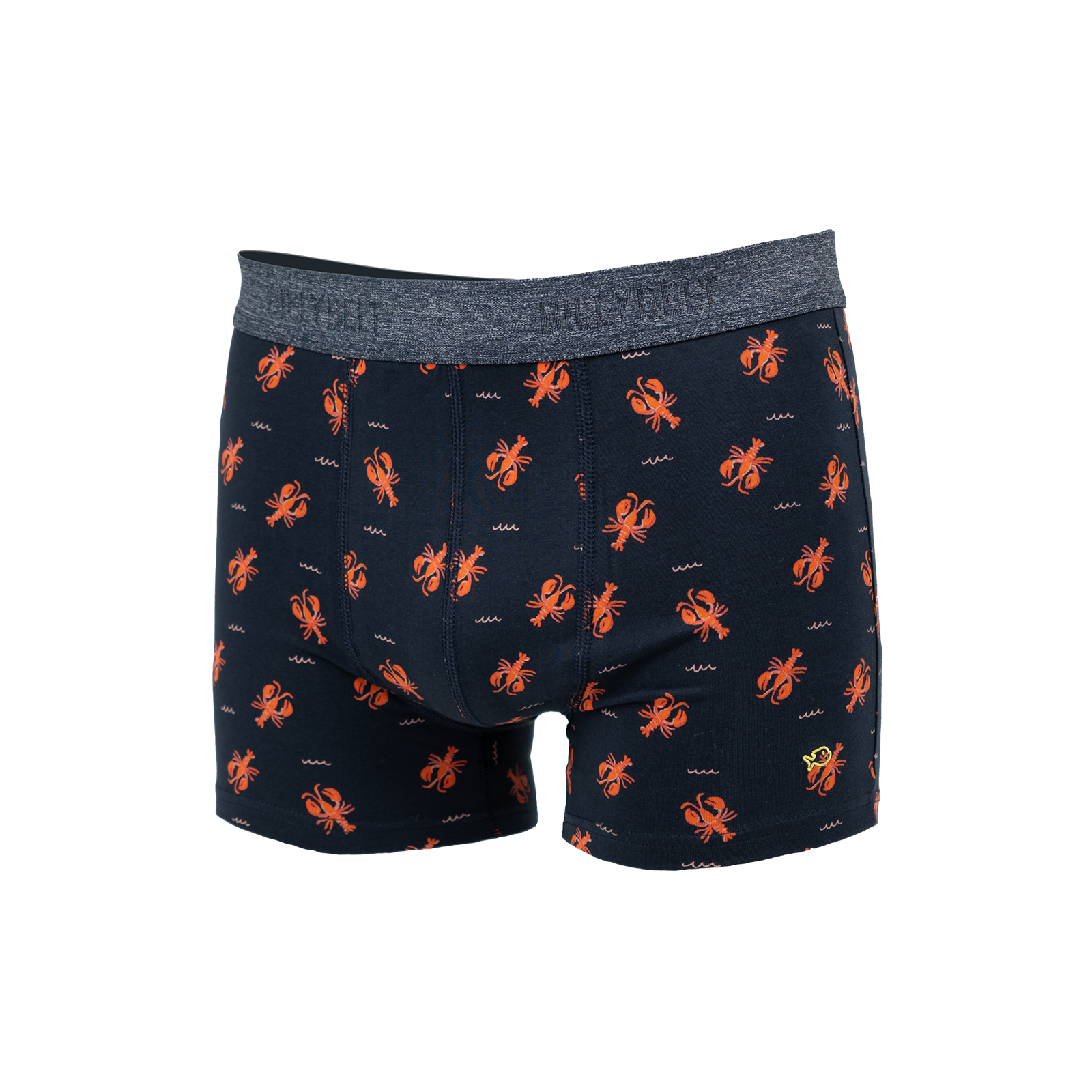Organic cotton boxers BILLYBELT