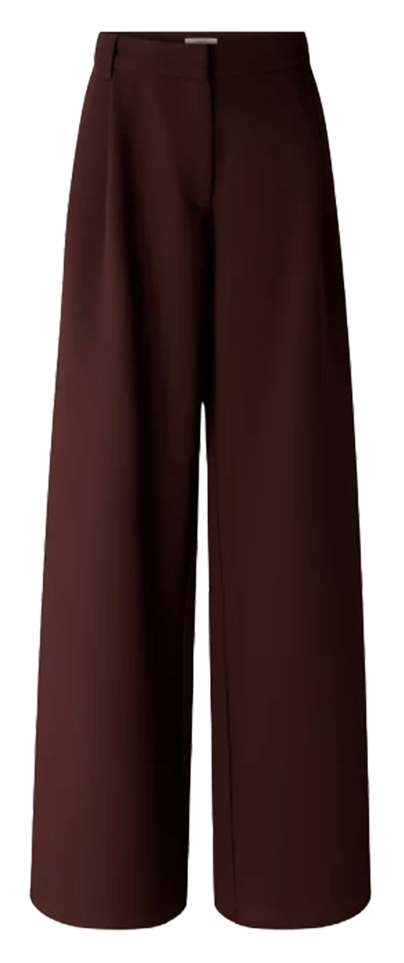 Wide-leg high waist pleated pants SESSUN Brown