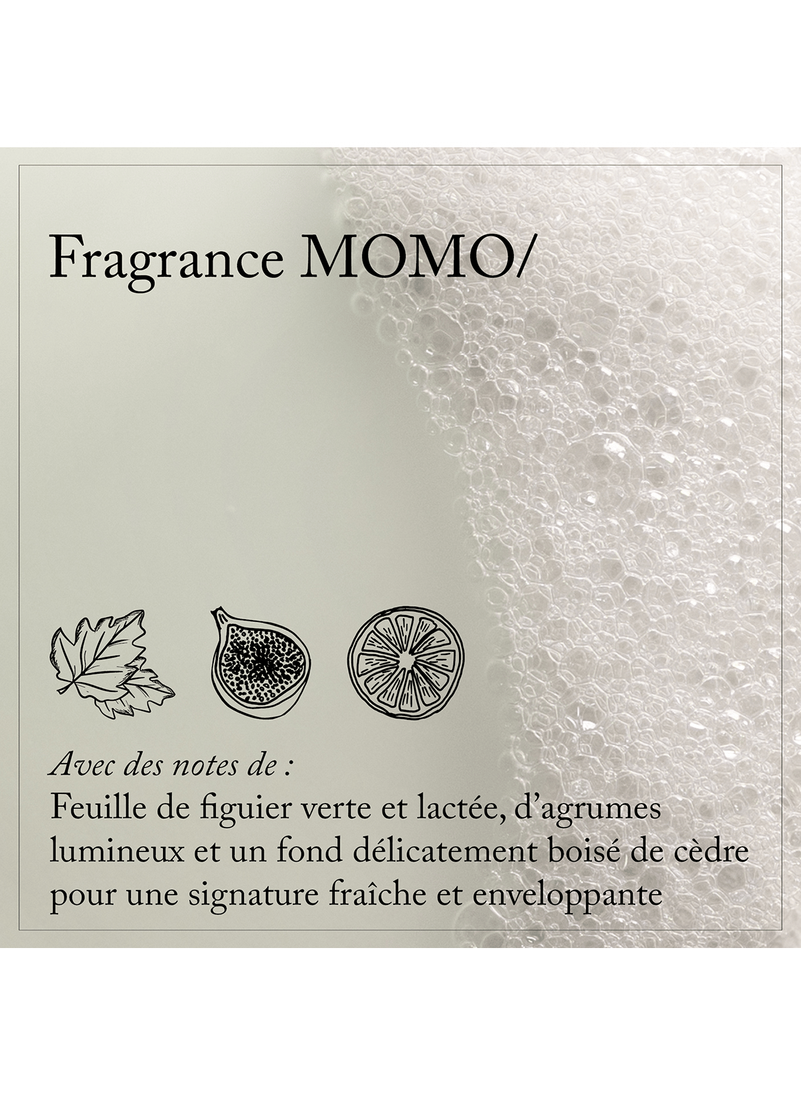 MOMO Shampoo DAVINES No color