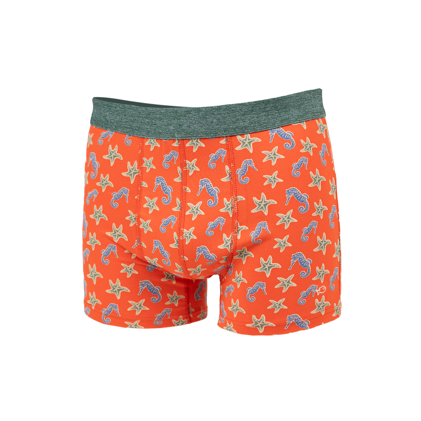 Organic cotton boxers BILLYBELT