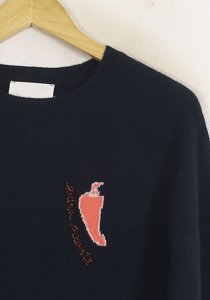 Knitwear ABSOLUT CASHMERE - Seconde main Blue