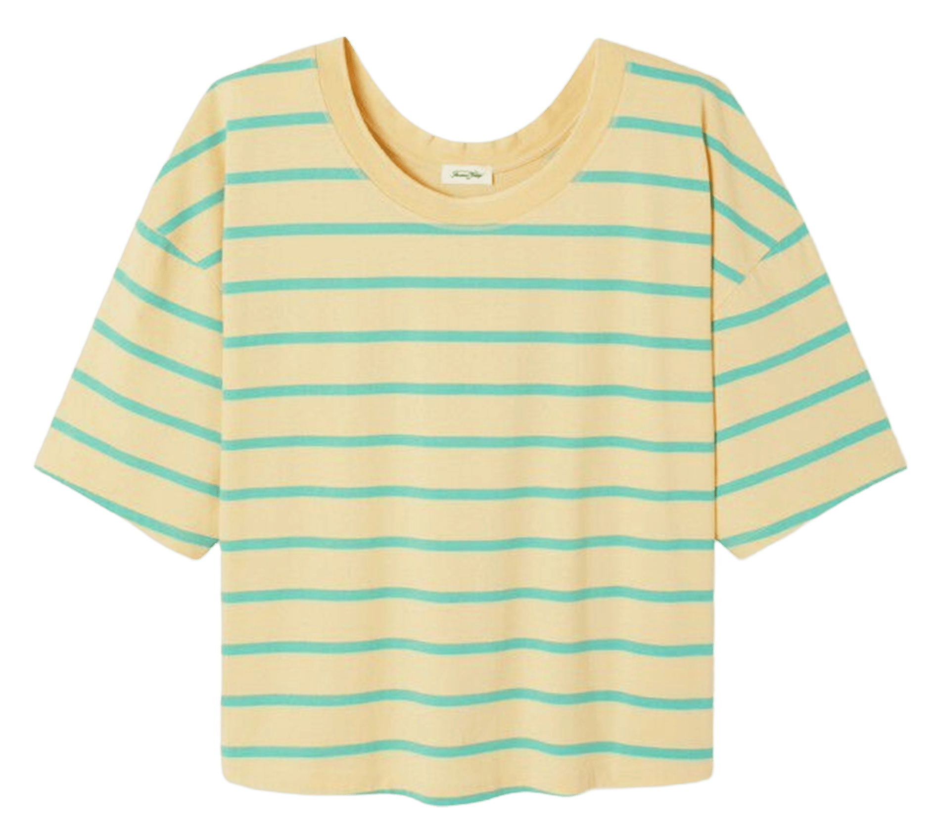 T-shirt oversize en coton AMERICAN VINTAGE