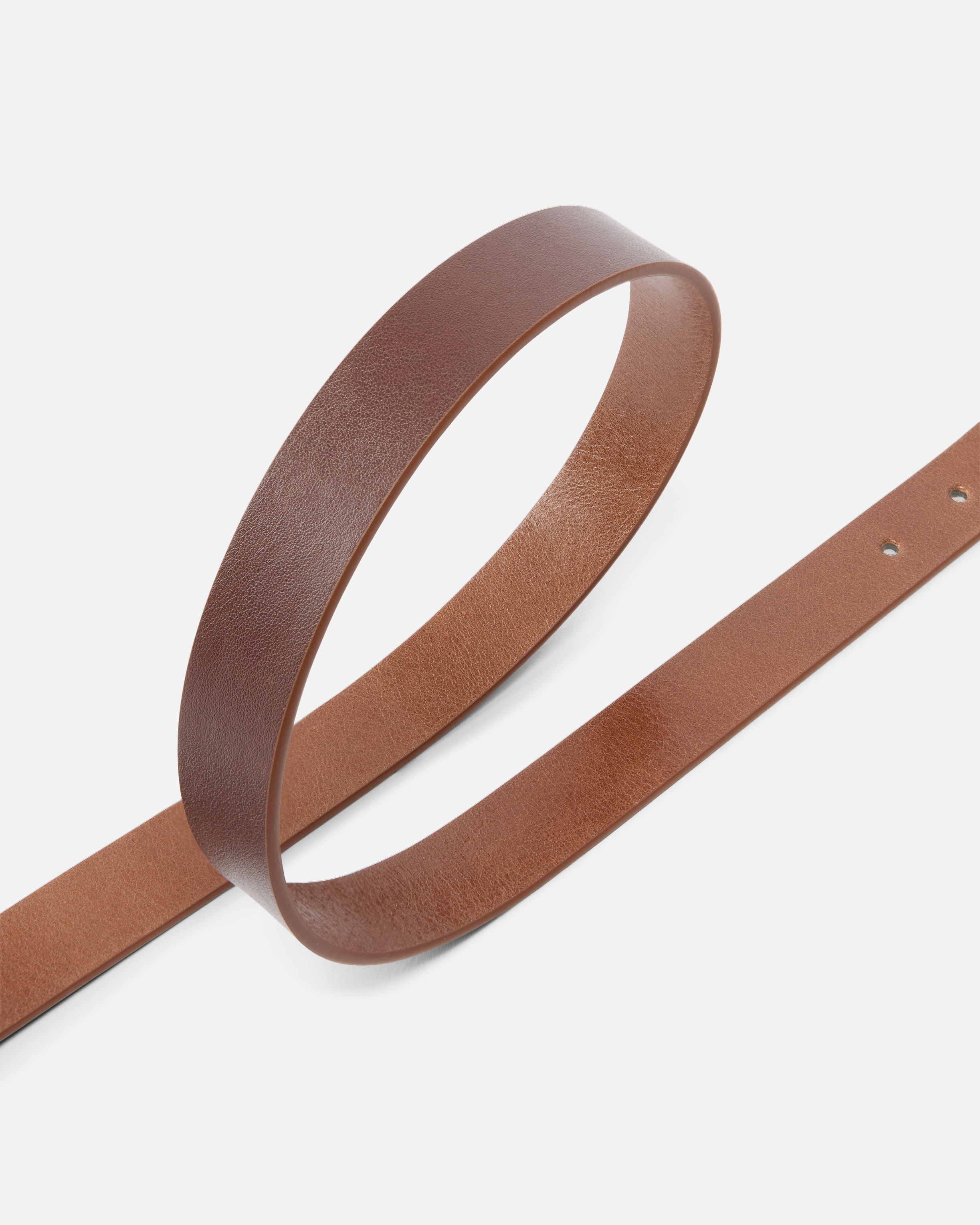 Belt with love birds logo 2 cm PINKO Brown