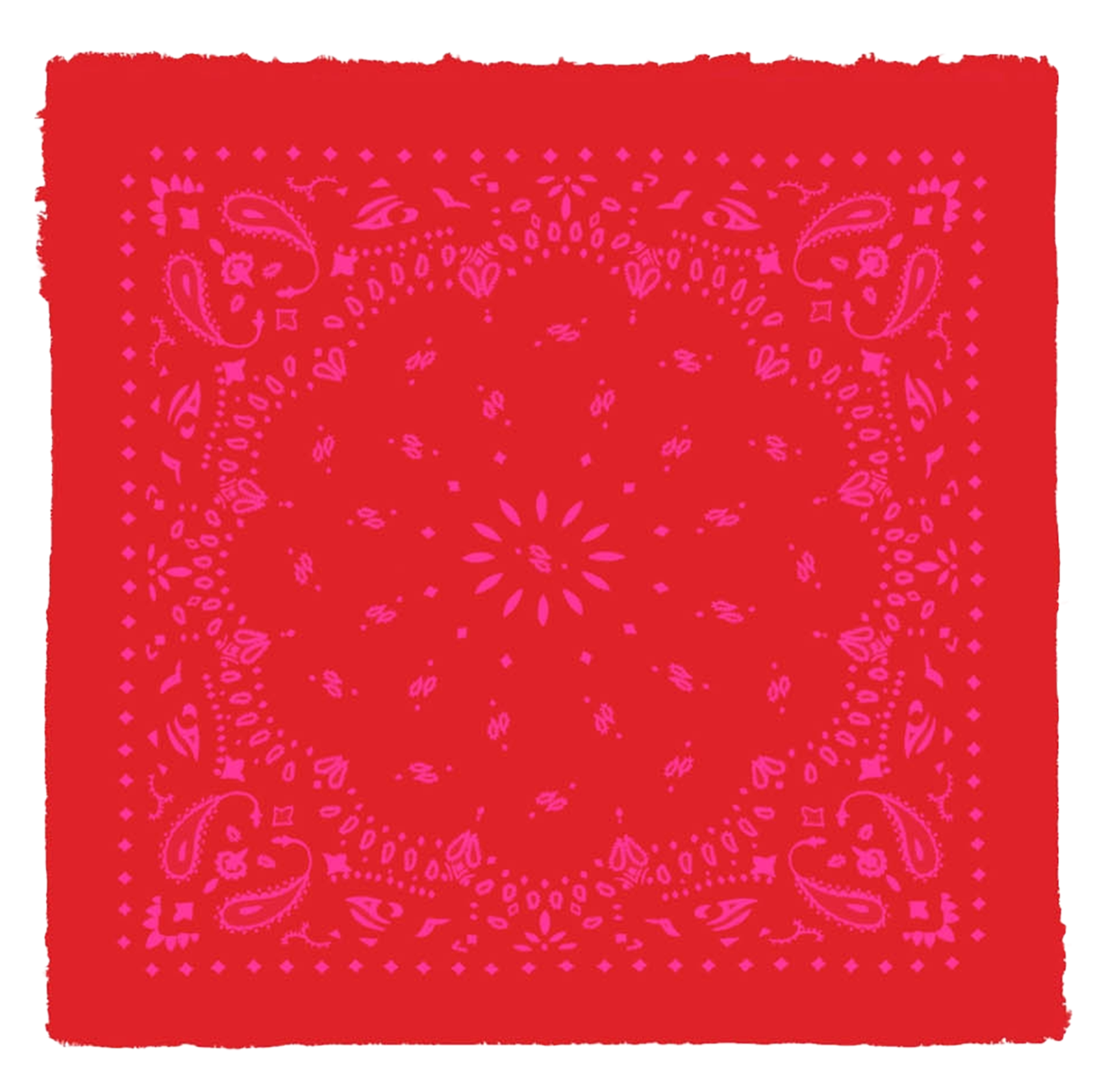 Echarpe en cachemire à imprimé HACHIKO Rouge rose