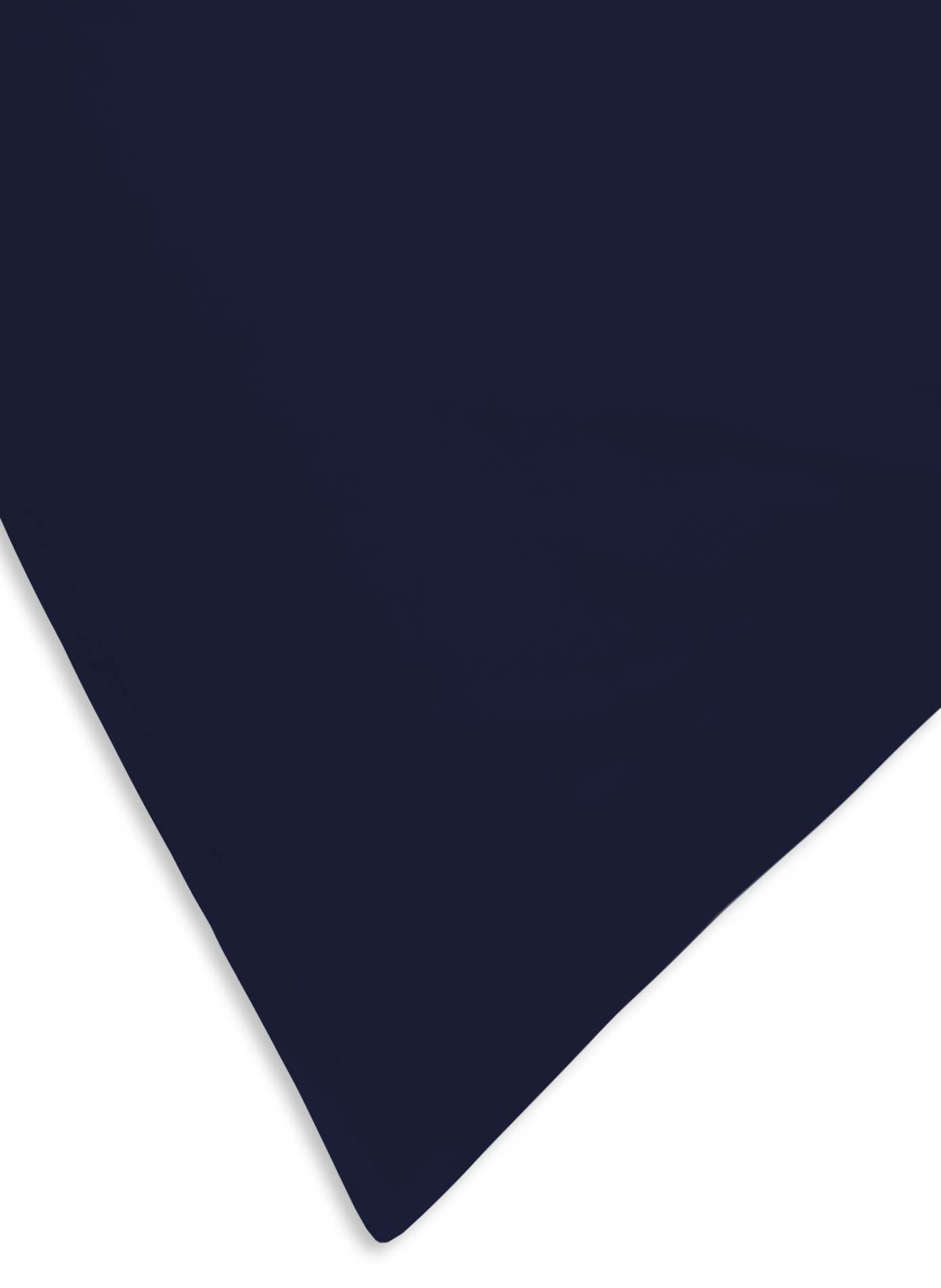 Cotton pillowcase Blue