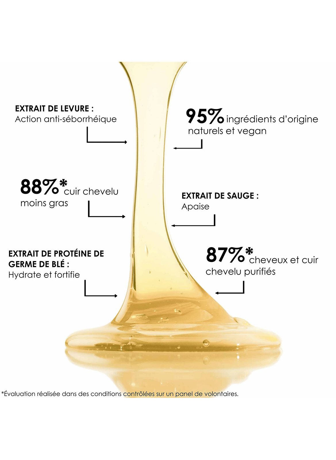 Bain TS Shampooing - Equilibrerende shampoo LEONOR GREYL No color