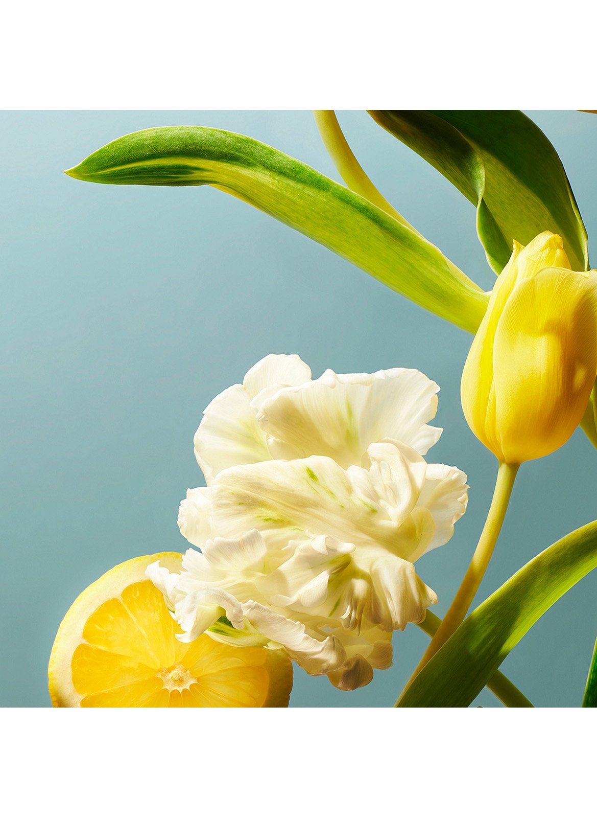 Amsterdam Collection - Car Fragrance RITUALS No color