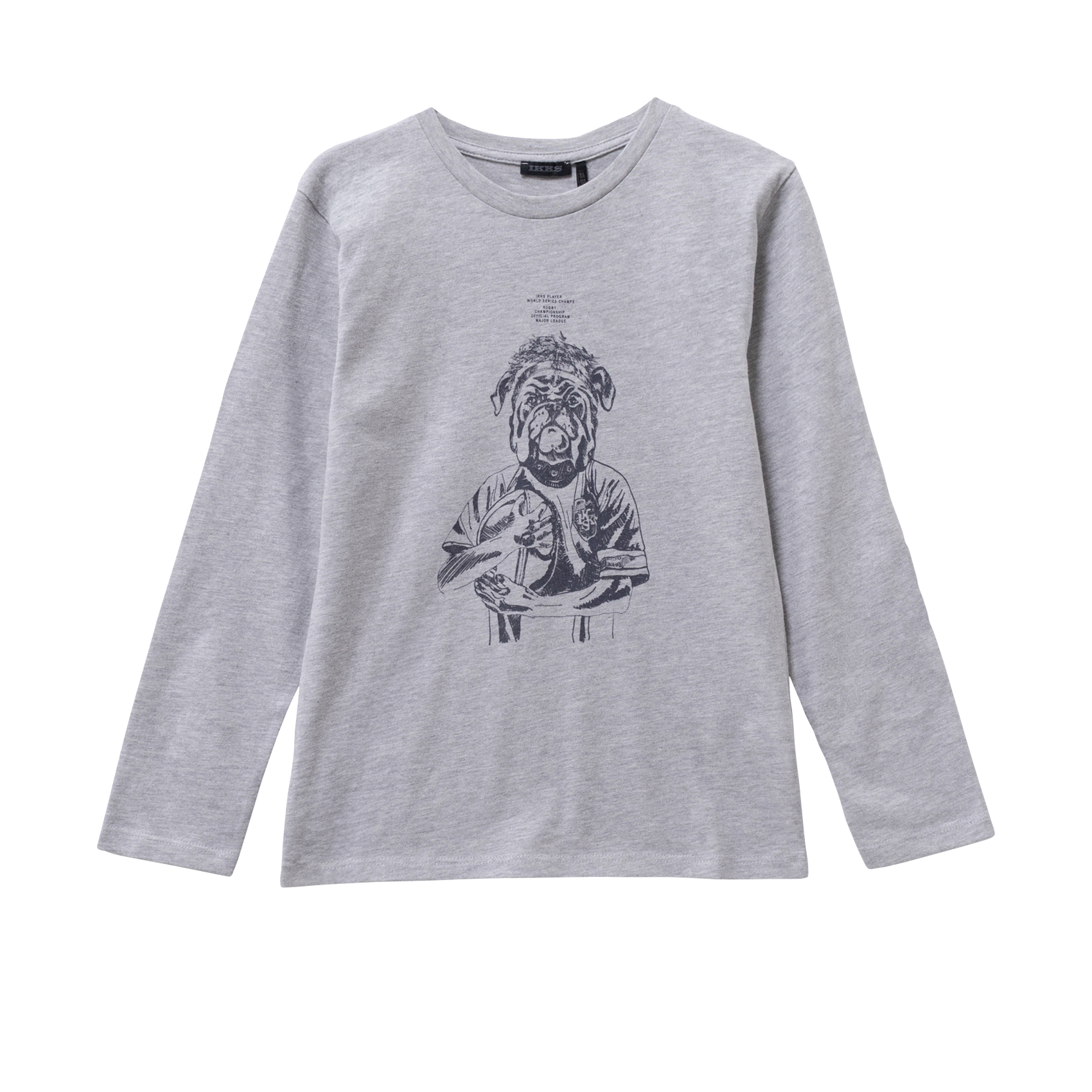 Round-neck straight-cut screen-printed cotton T-shirt IKKS JUNIOR