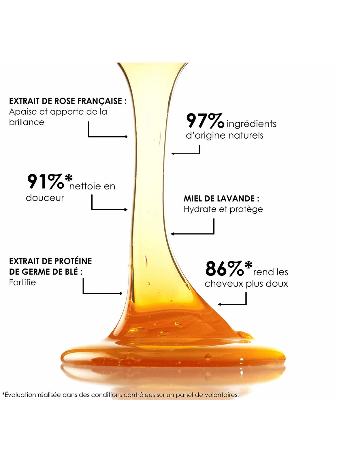 SHAMPOOING AU MIEL LEONOR GREYL No color
