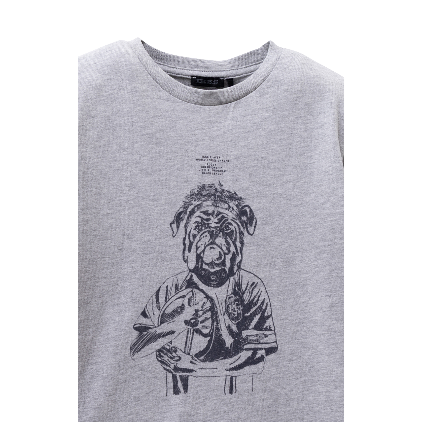 Gerade geschnittenes Rundhals-T-Shirt aus Baumwolle mit Siebdruck IKKS JUNIOR Grau