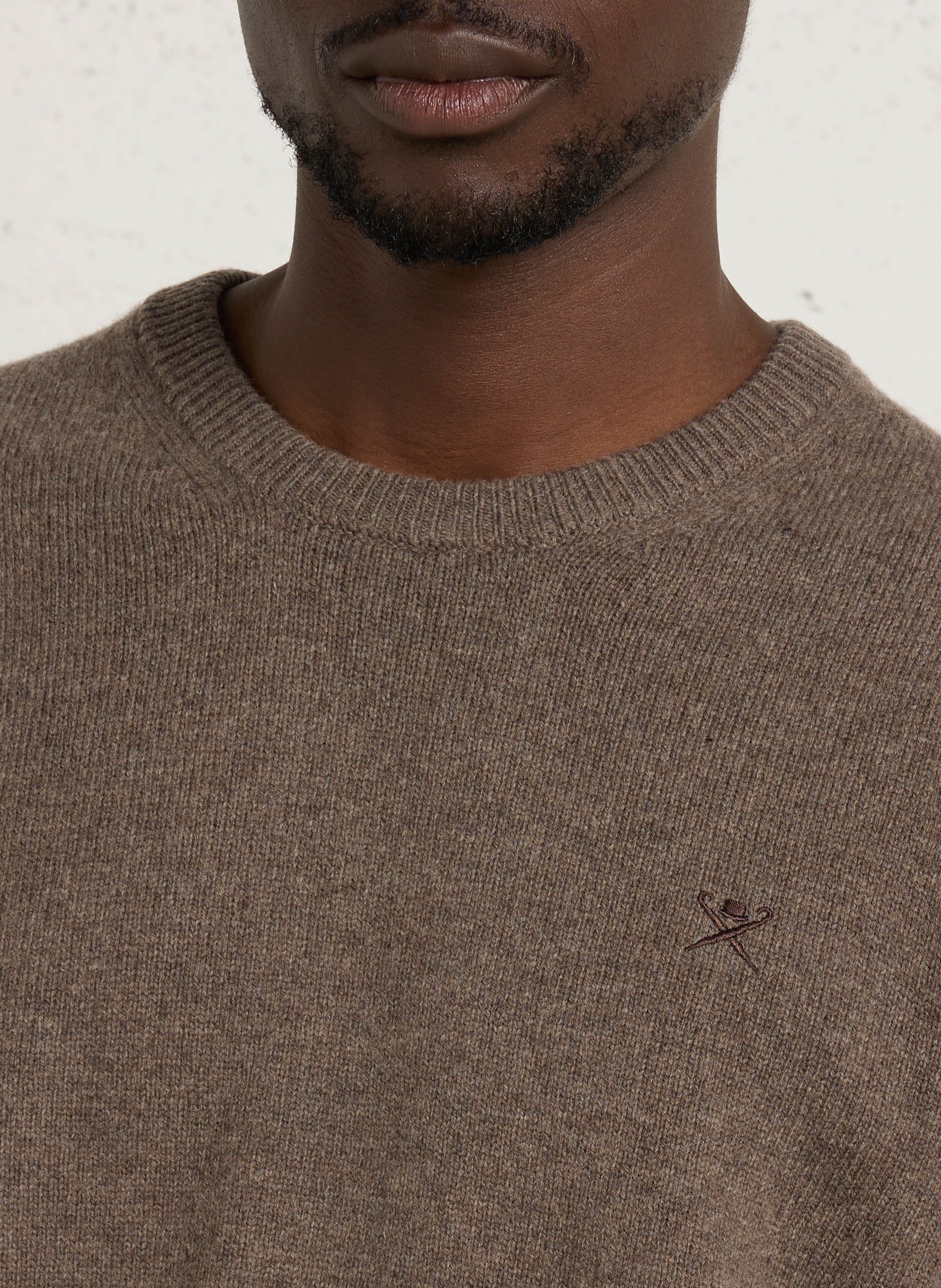 Pull droit col rond brodé en laine HACKETT Beige