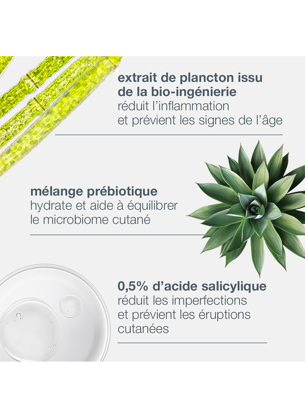 Breakout biotic moisturizer DERMALOGICA No color