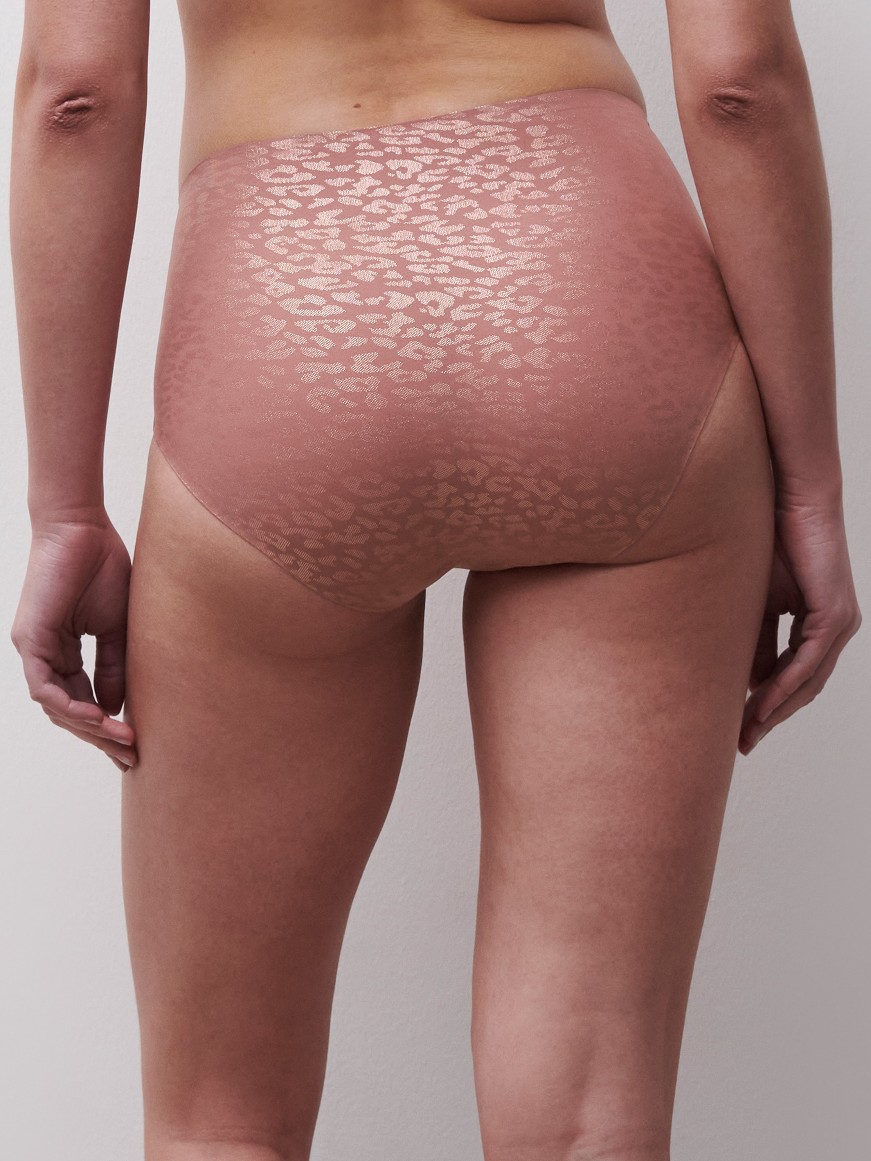 High-waisted lace panties CHANTELLE Multicolored