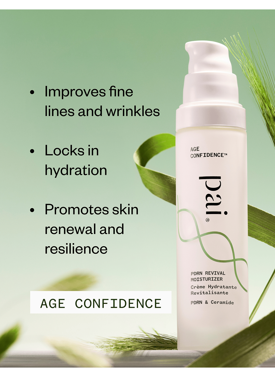 PDRN & Ceramid revitalisierende Feuchtigkeitscreme PAI SKINCARE No color