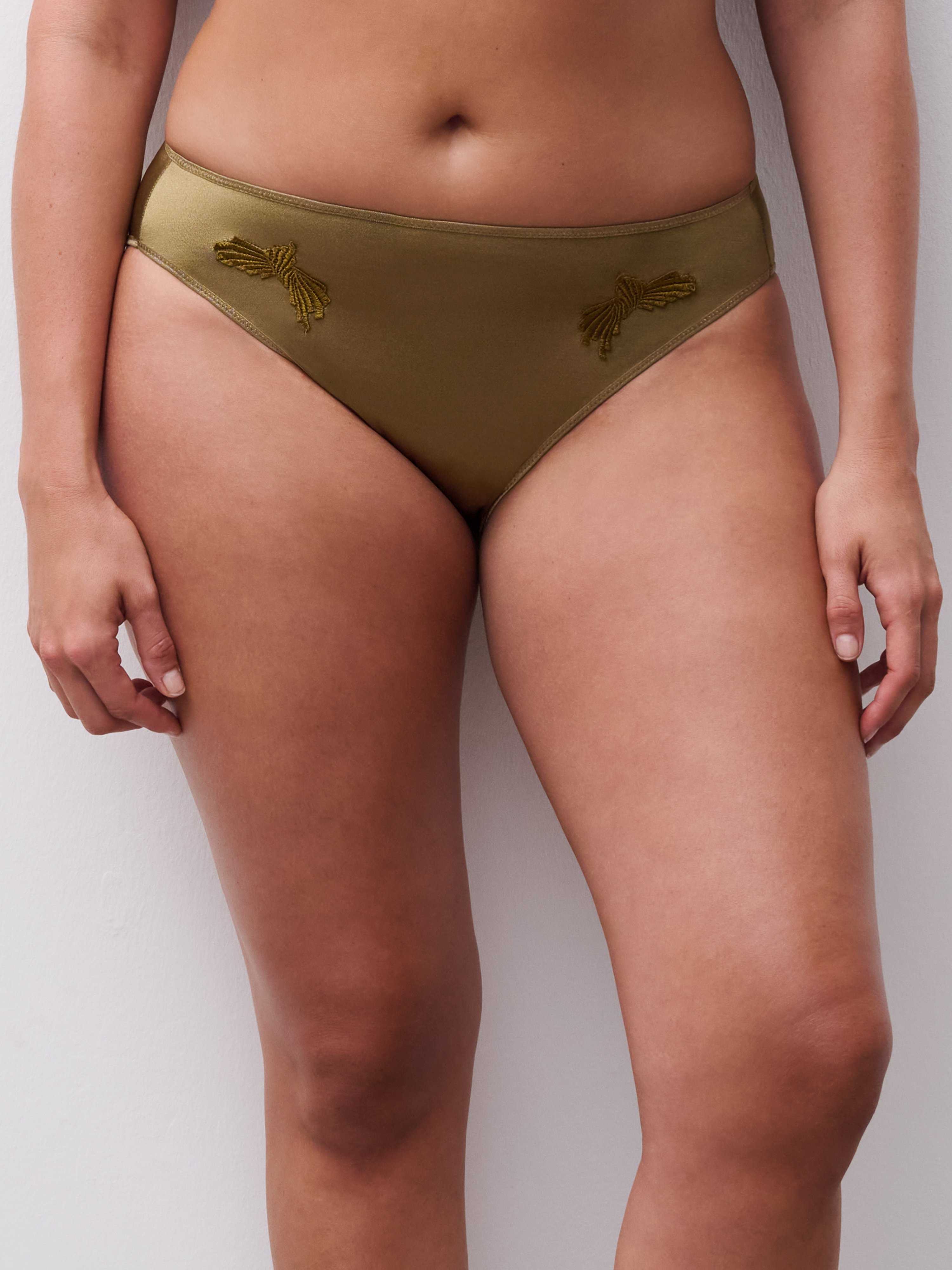 Briefs CHANTELLE Green