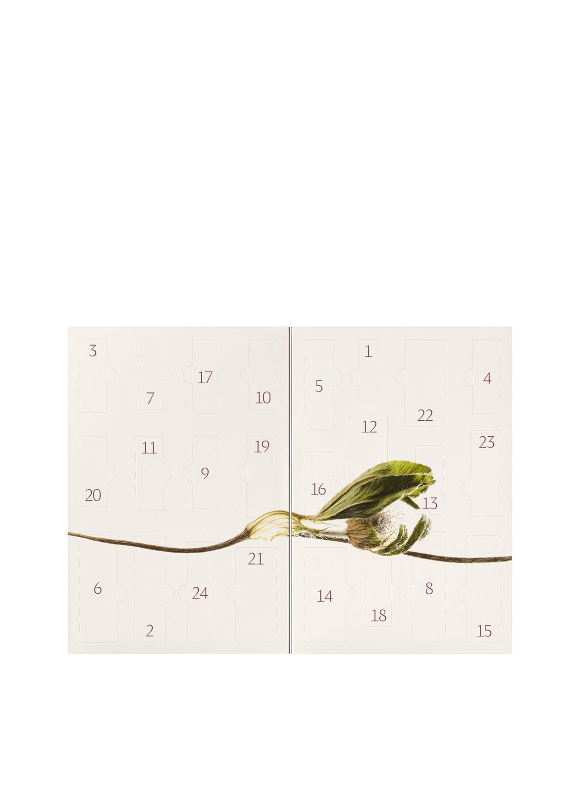 Calendrier de l'Avent 2026 DR. HAUSCHKA No color