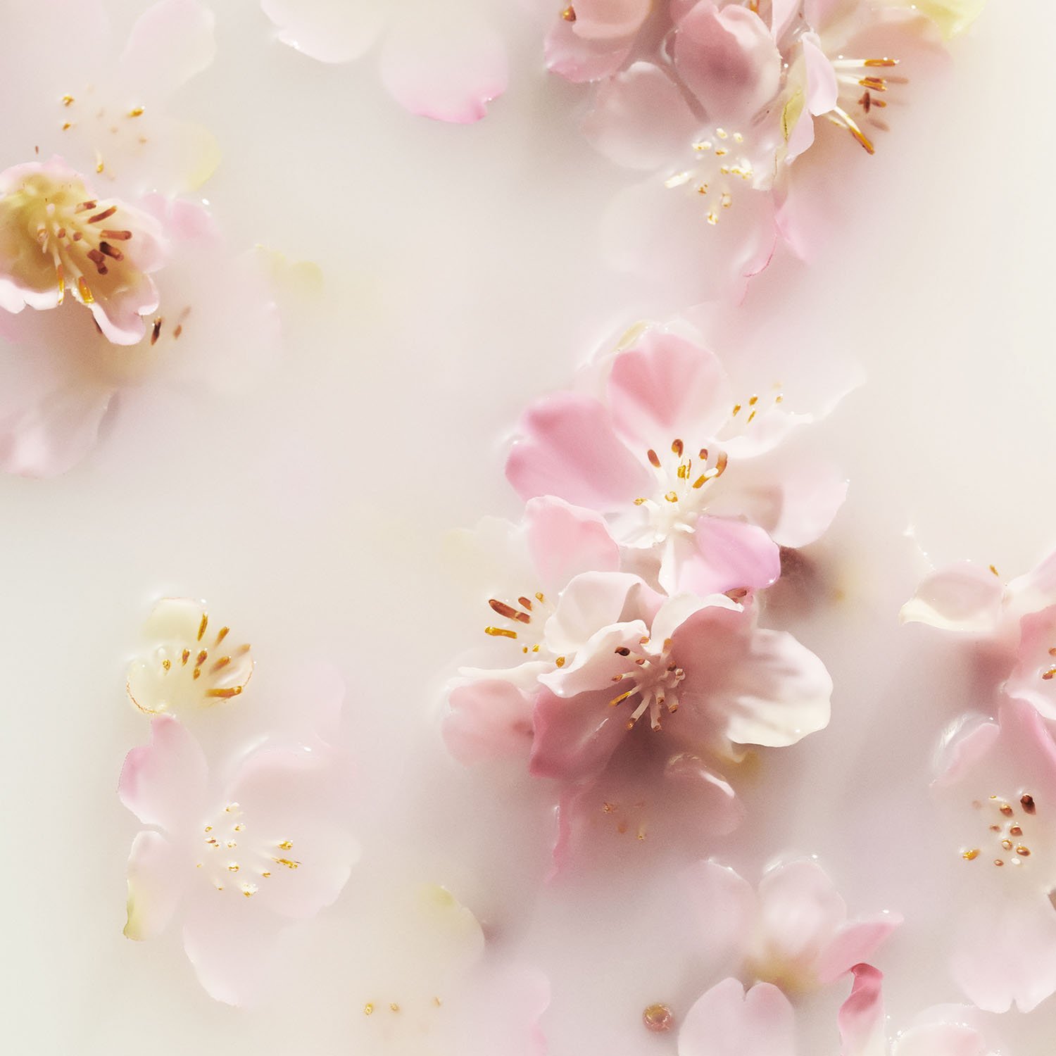 Geschenkset Kerst 2022 - The Ritual of Sakura - Luxe set L RITUALS No color