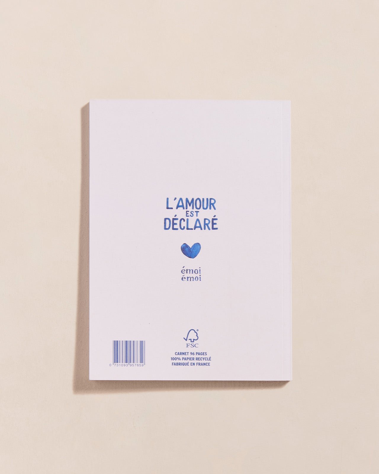 Le carnet tata cool EMOI EMOI Bleu