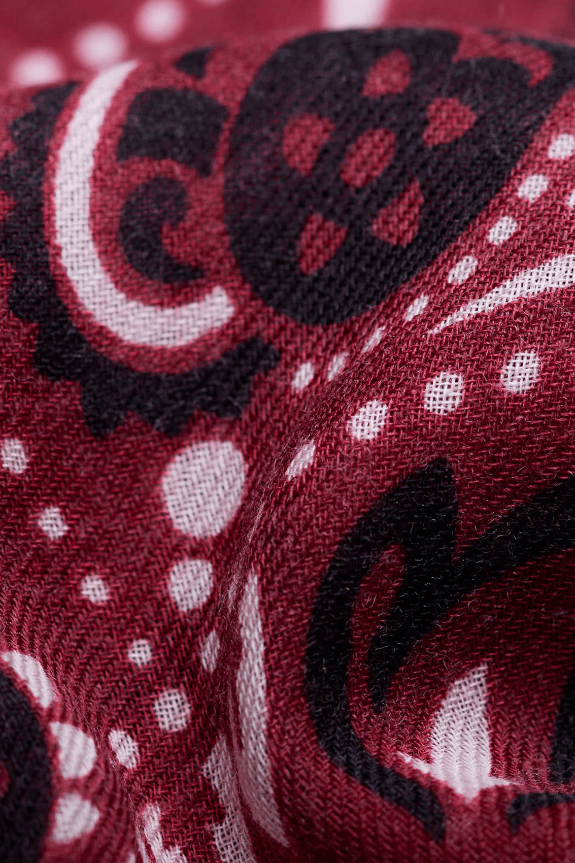 Haddock wool and silk printed scarf MAISON LECOMTE FLAMENT Red