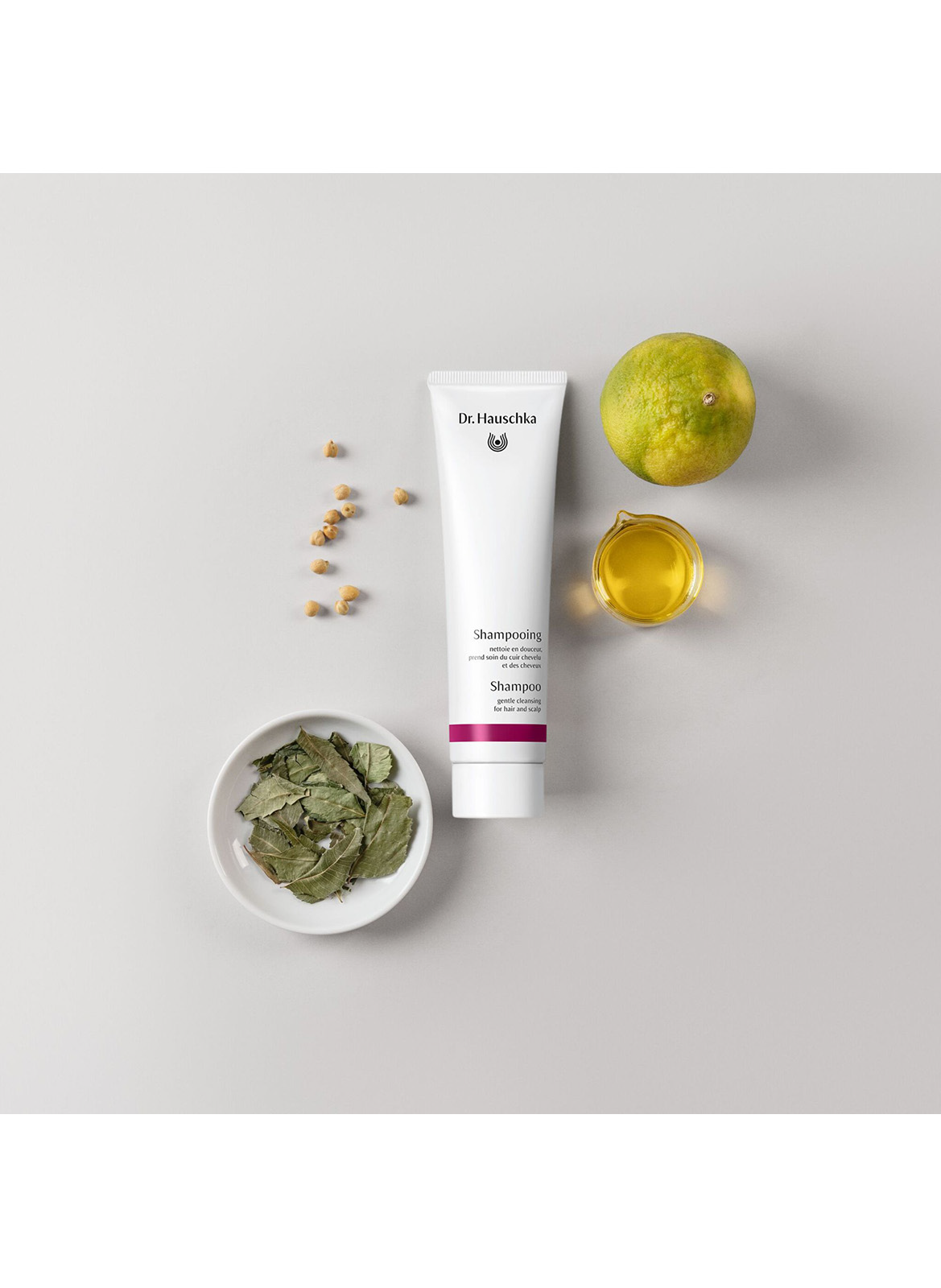 Shampooing DR. HAUSCHKA No color