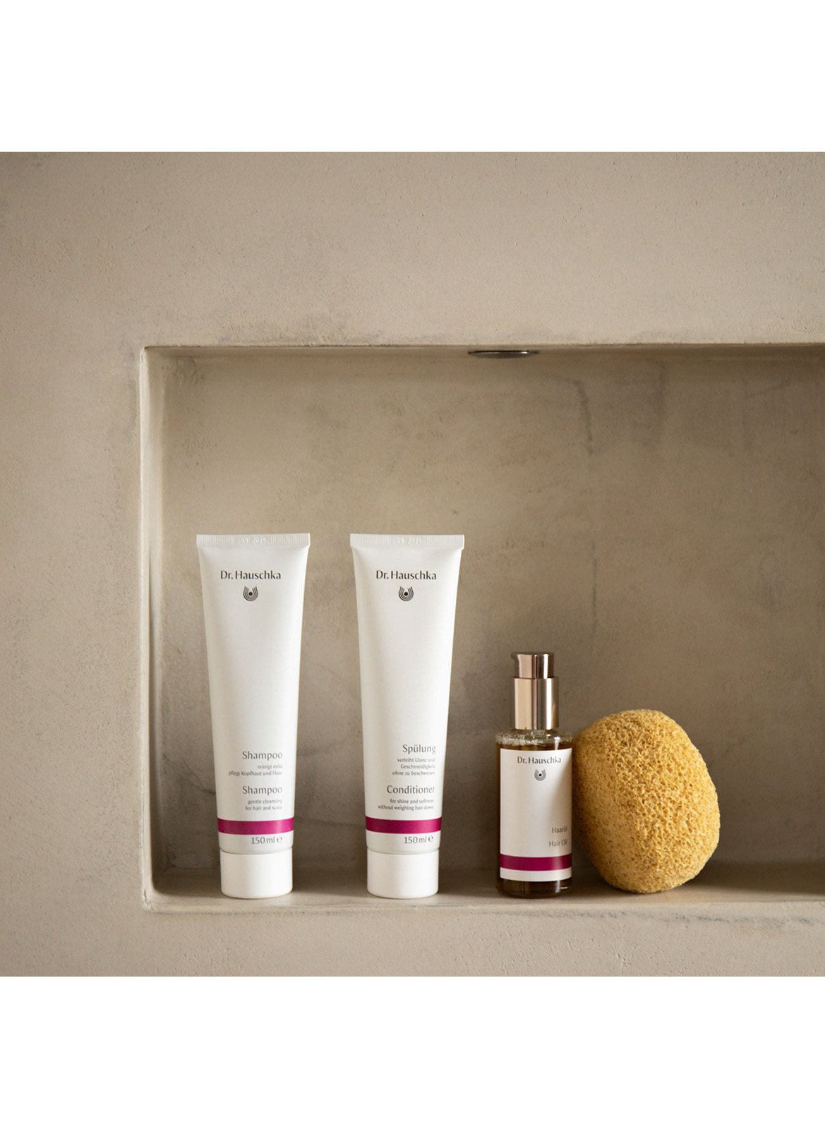 Conditioner DR. HAUSCHKA No color