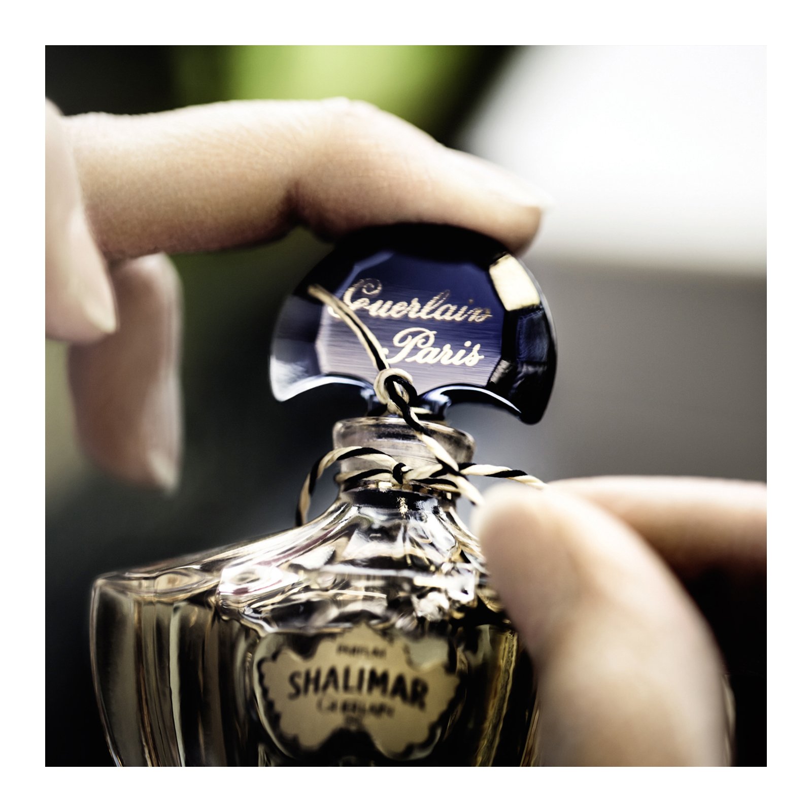 Shalimar - Eau de Parfum GUERLAIN No color