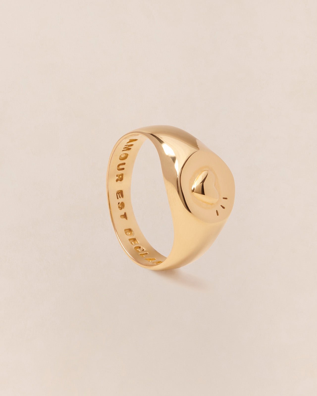 The precious signet ring Charly in gilded silver EMOI EMOI Golden