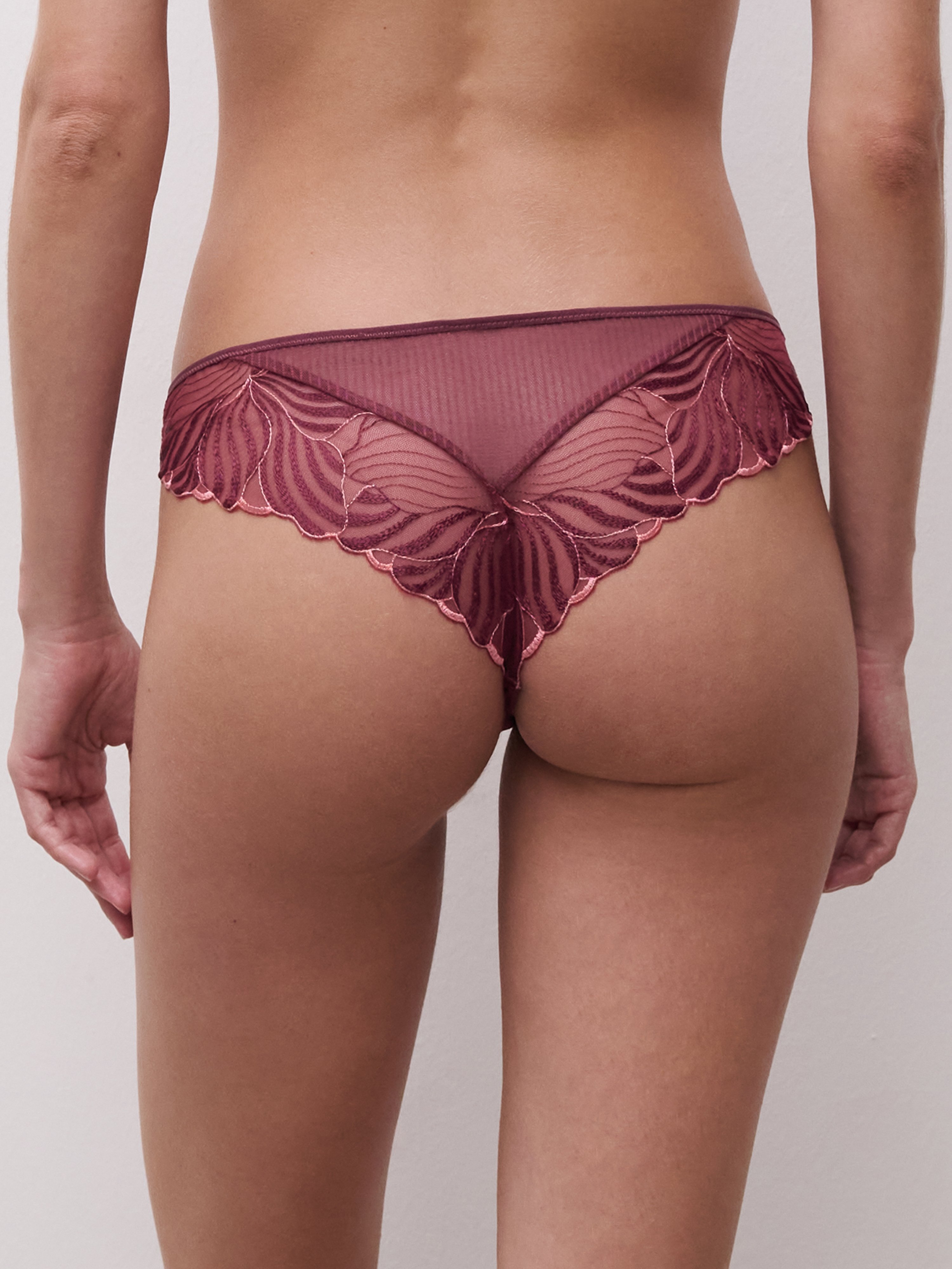 Cotton tanga CHANTELLE Multicolored