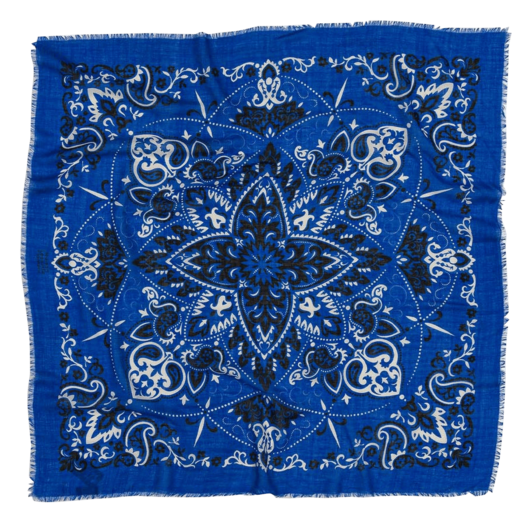 Haddock wool and silk printed scarf MAISON LECOMTE FLAMENT Blue