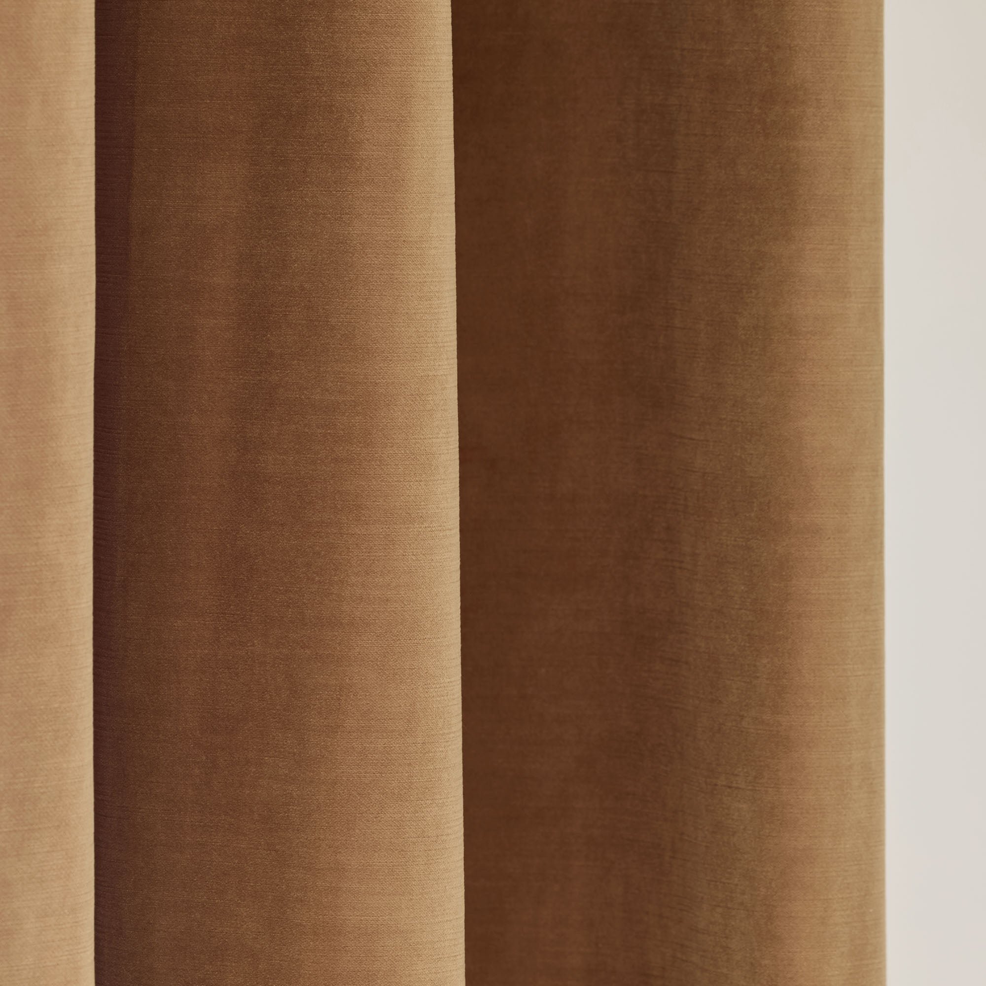 Madura - rideau dalila tamisant en velours fluide et lumineux beige 137x280 cm MADURA Marron