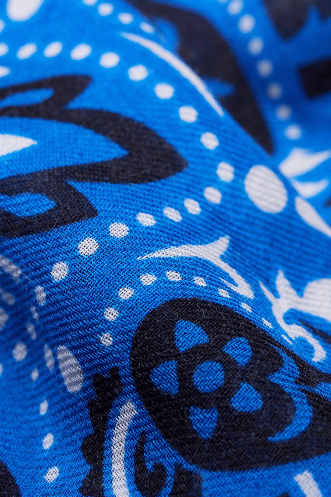 Haddock wool and silk printed scarf MAISON LECOMTE FLAMENT Blue