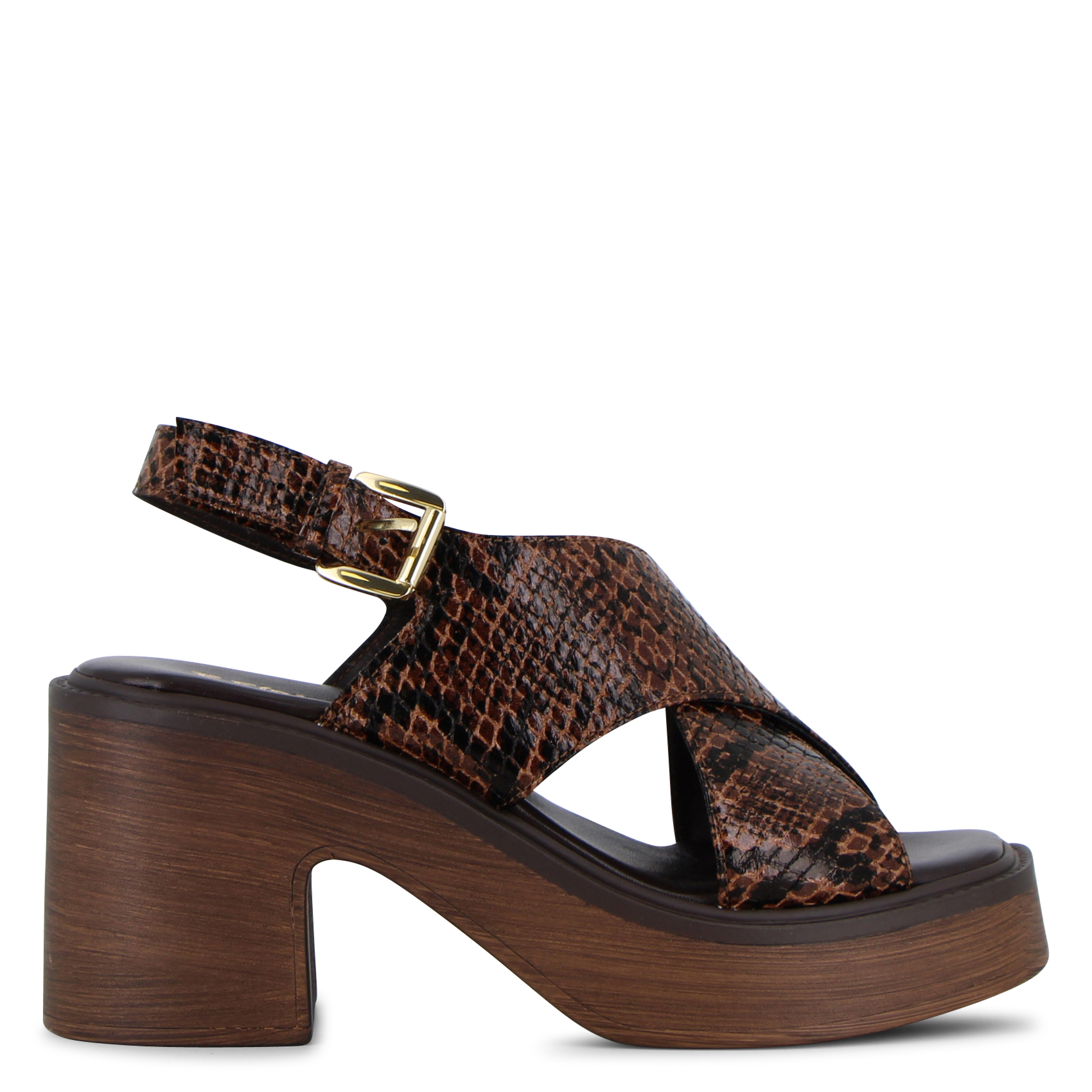 Caflo suede high sandals REQINS Brown