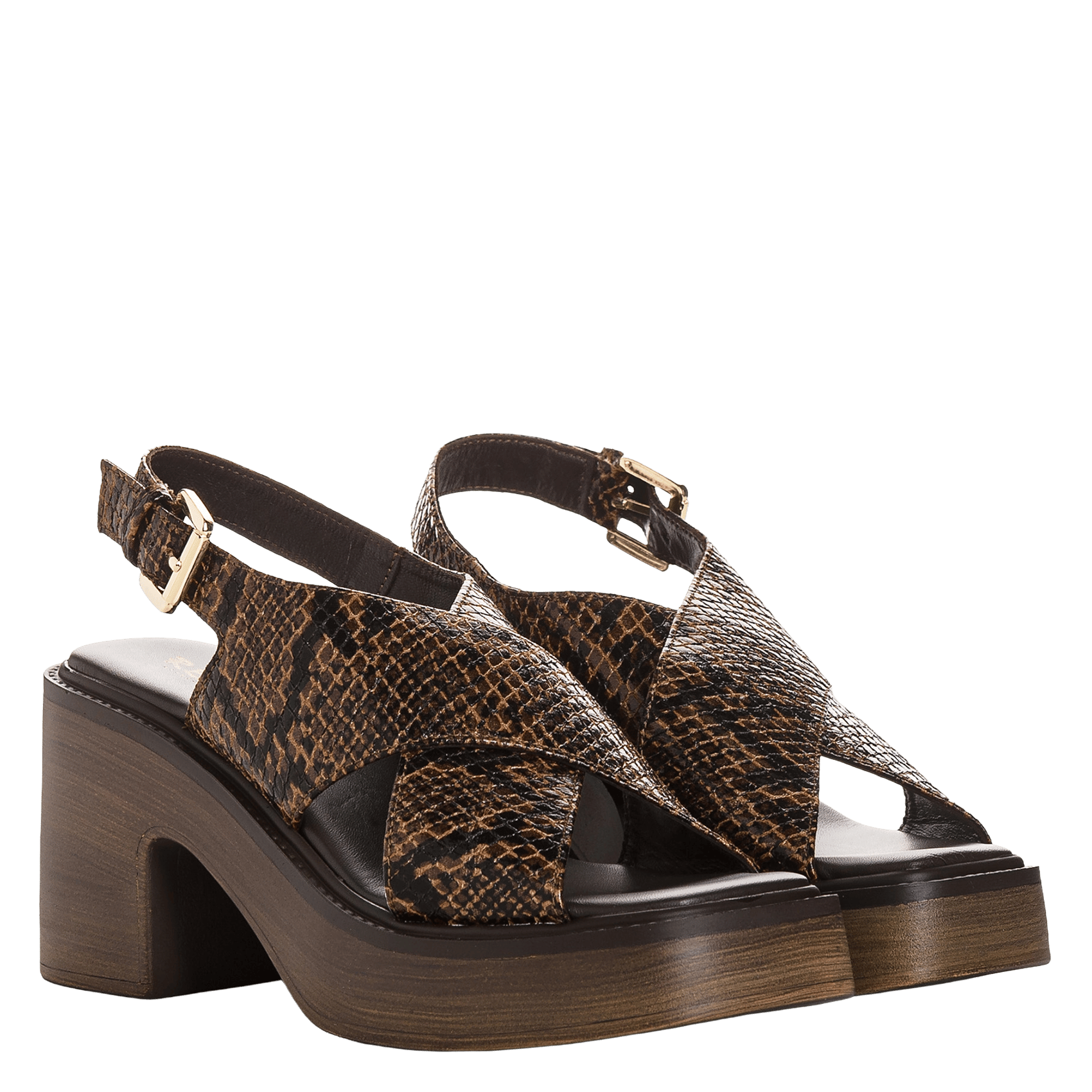 Caflo suede high sandals REQINS Brown