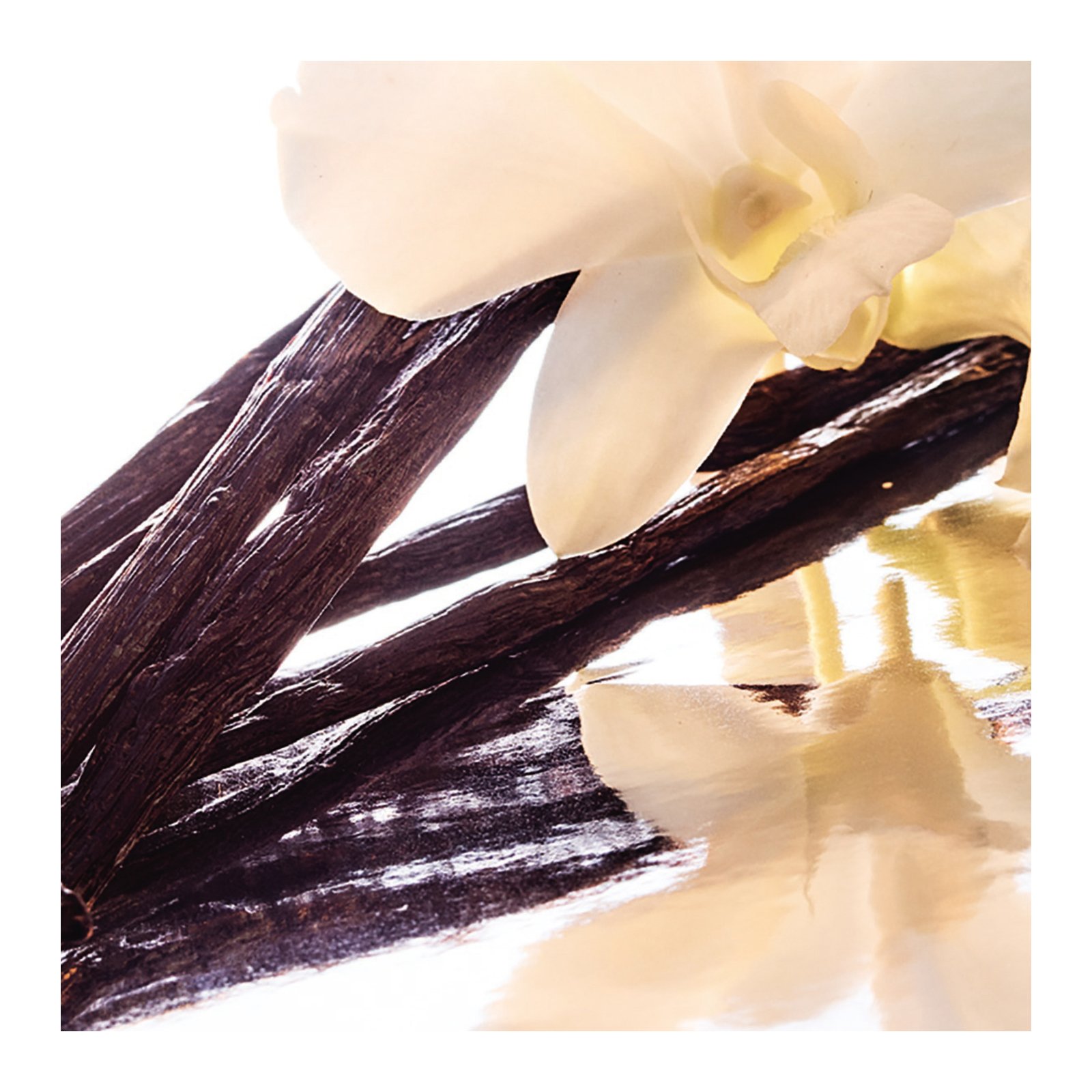 Shalimar - Eau de Toilette GUERLAIN No color