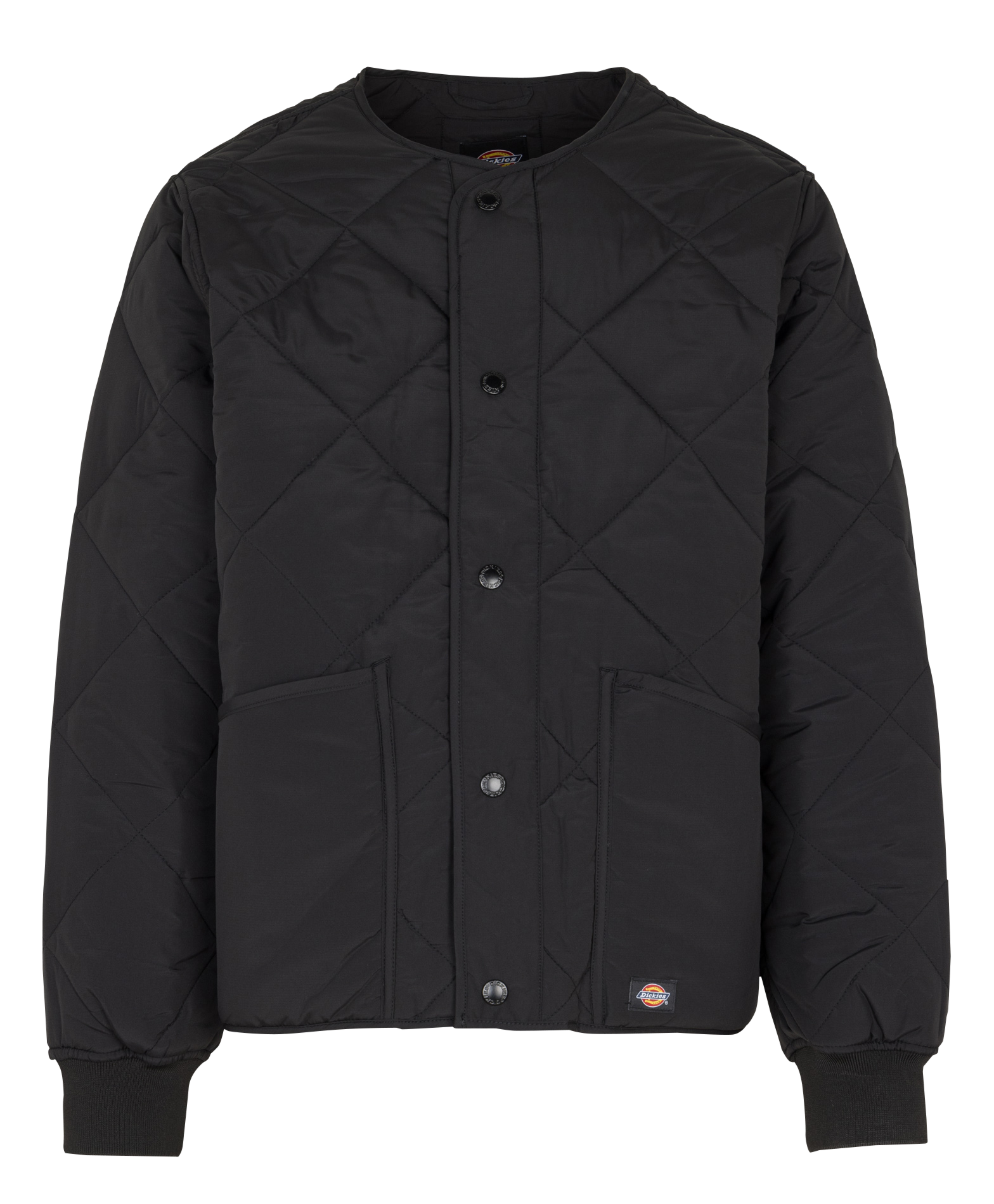 Oversized, gewatteerde jasje DICKIES Zwart