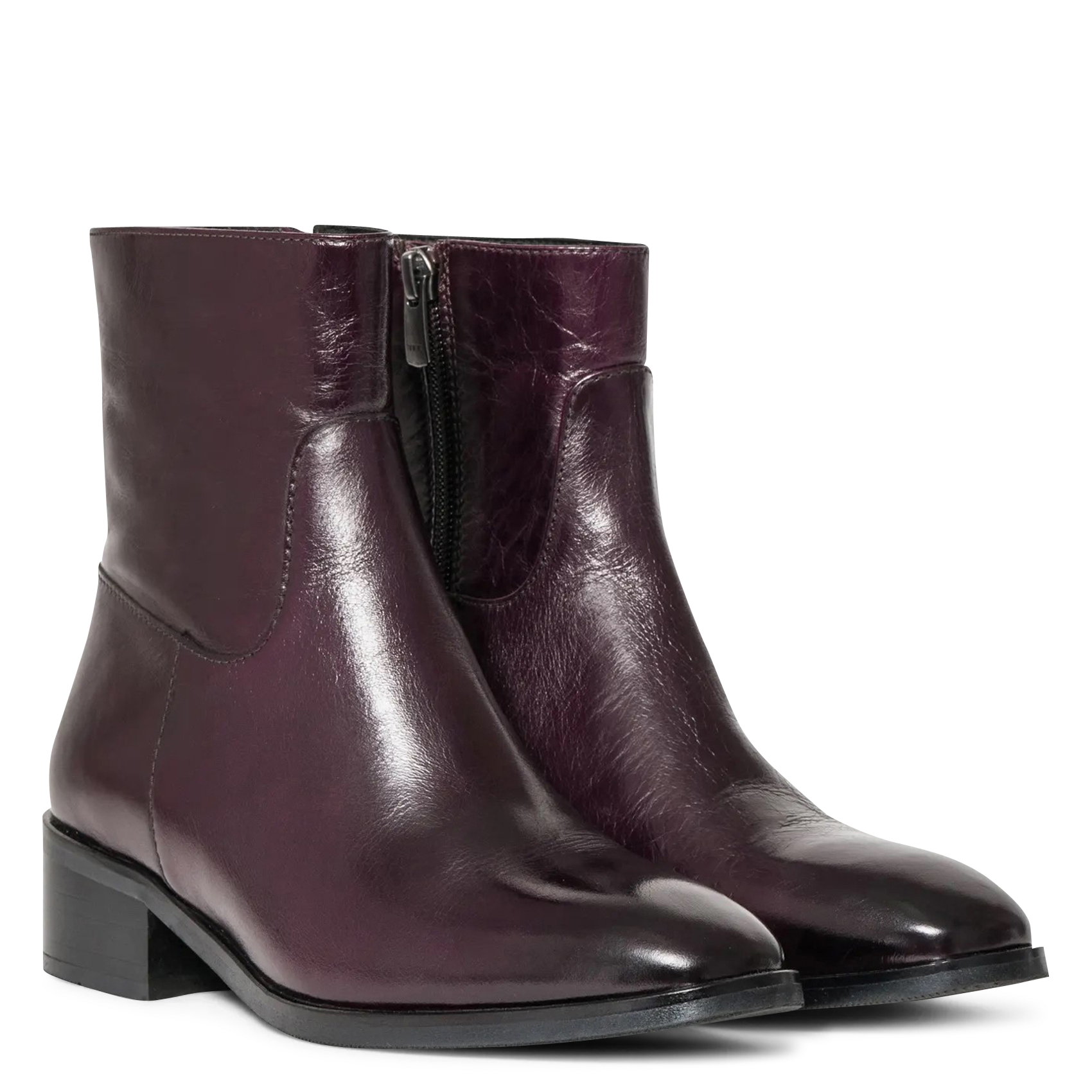 Lederstiefeletten mit runder Spitze BOCAGE Violett