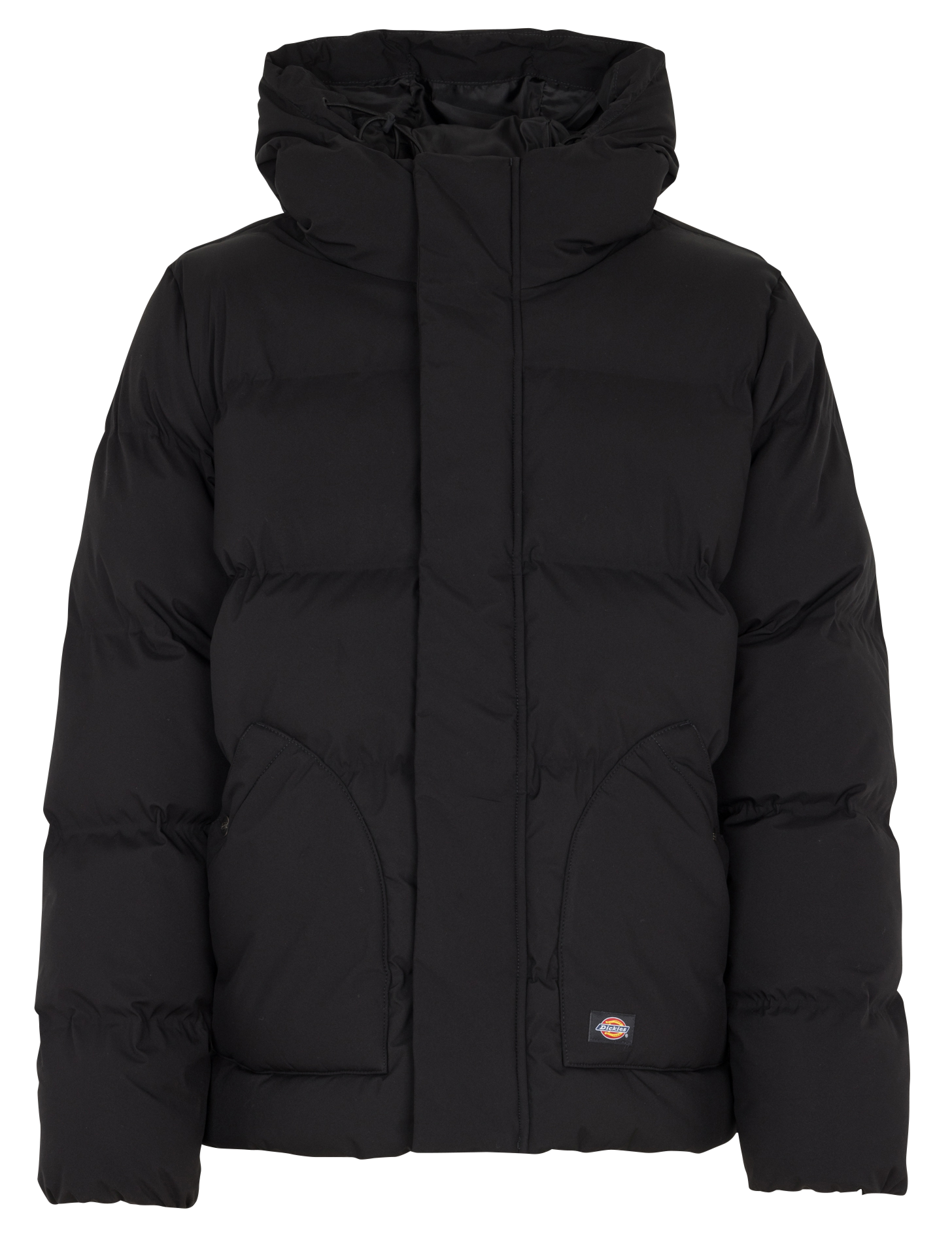 Recht donsjack met capuchon DICKIES Zwart