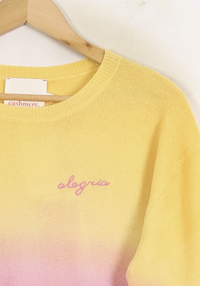 Knitwear ABSOLUT CASHMERE - Seconde main Multicolored