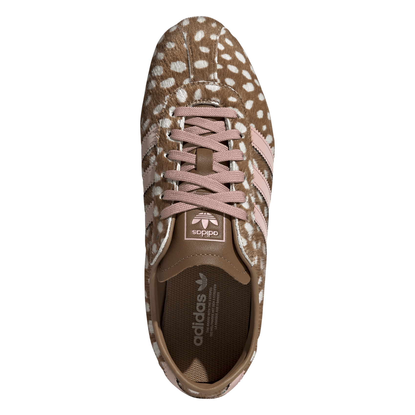 Lage jacquard sneakers ADIDAS Bruin