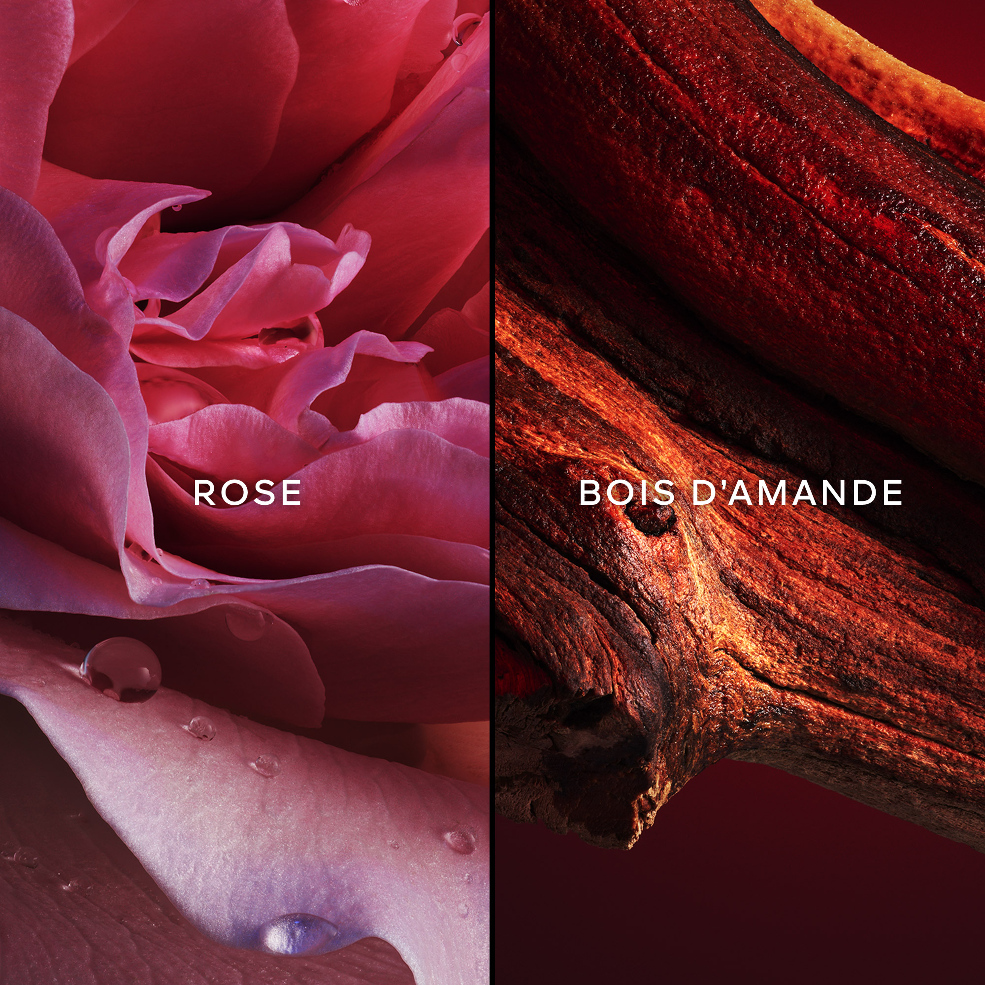 Champs-Élysées Eau de Toilette GUERLAIN No color