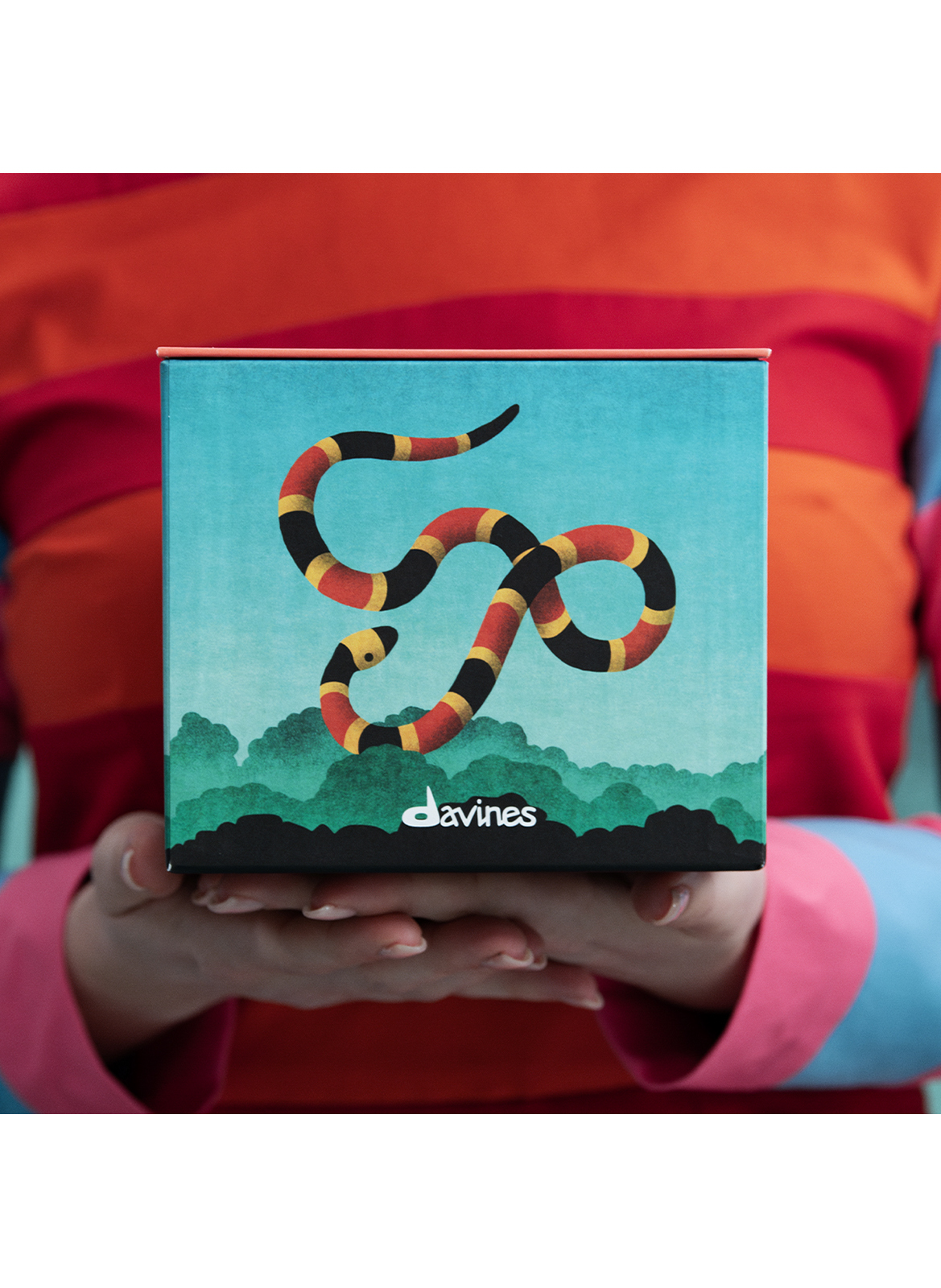 Discovery Set FW DAVINES No color