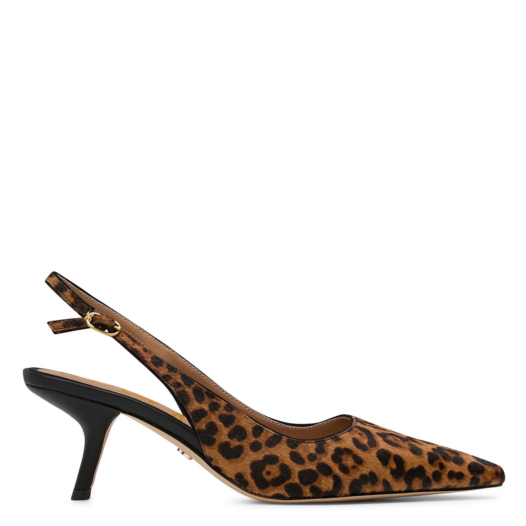 Leopard-Ponyleder-Pumps SAM EDELMAN Mehrfarbig