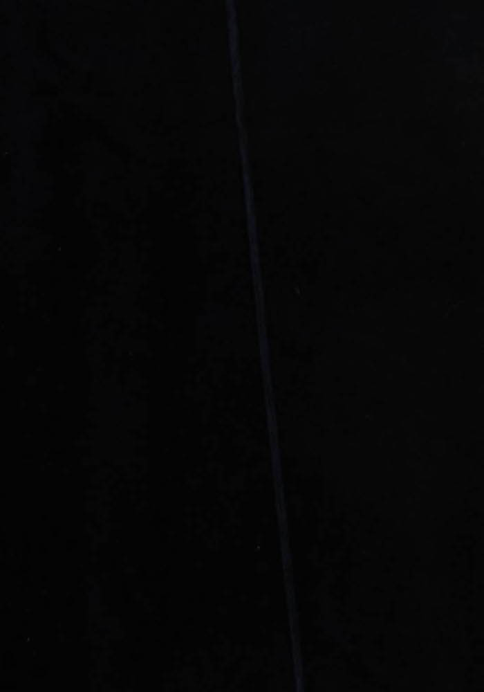 PANTS SEZANE - Seconde main Blue