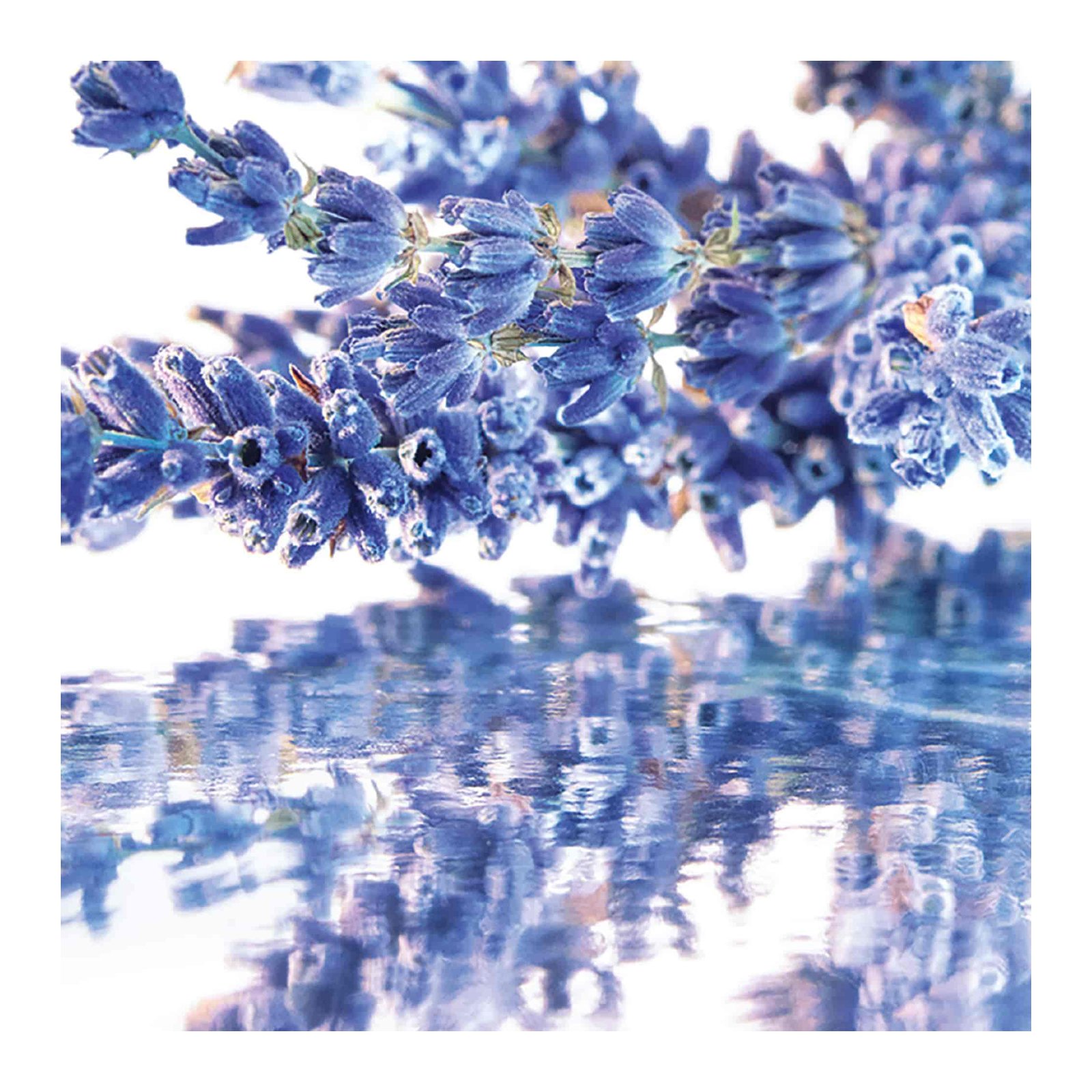 Mon Guerlain - Eau de Parfum GUERLAIN No color