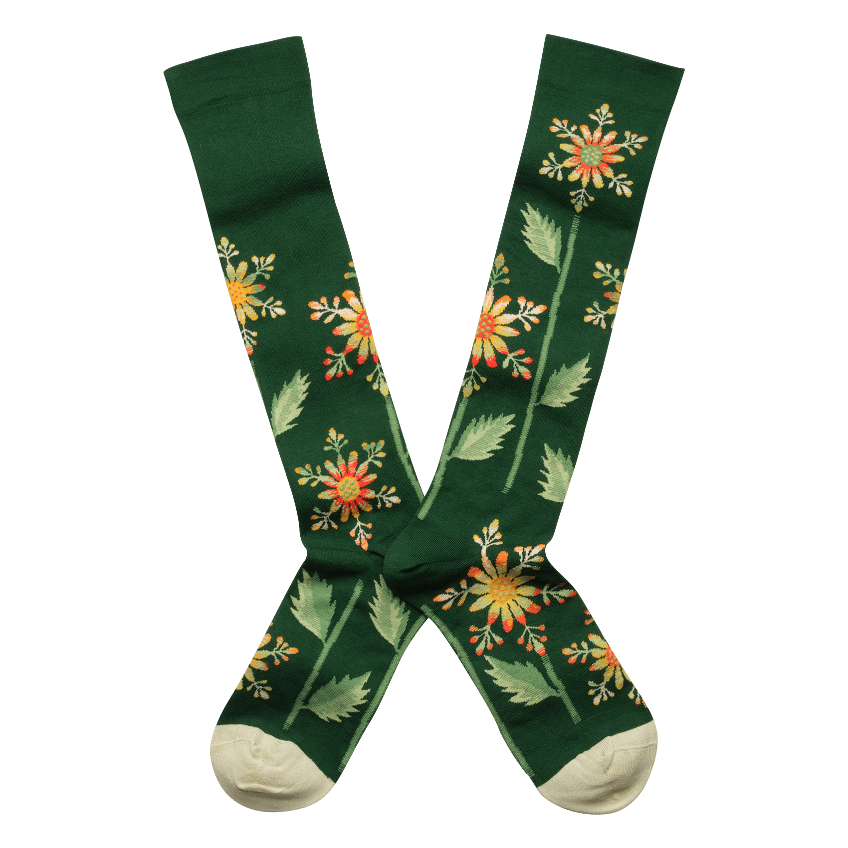 Sokken, katoenblend BONNE MAISON Veelkleurig