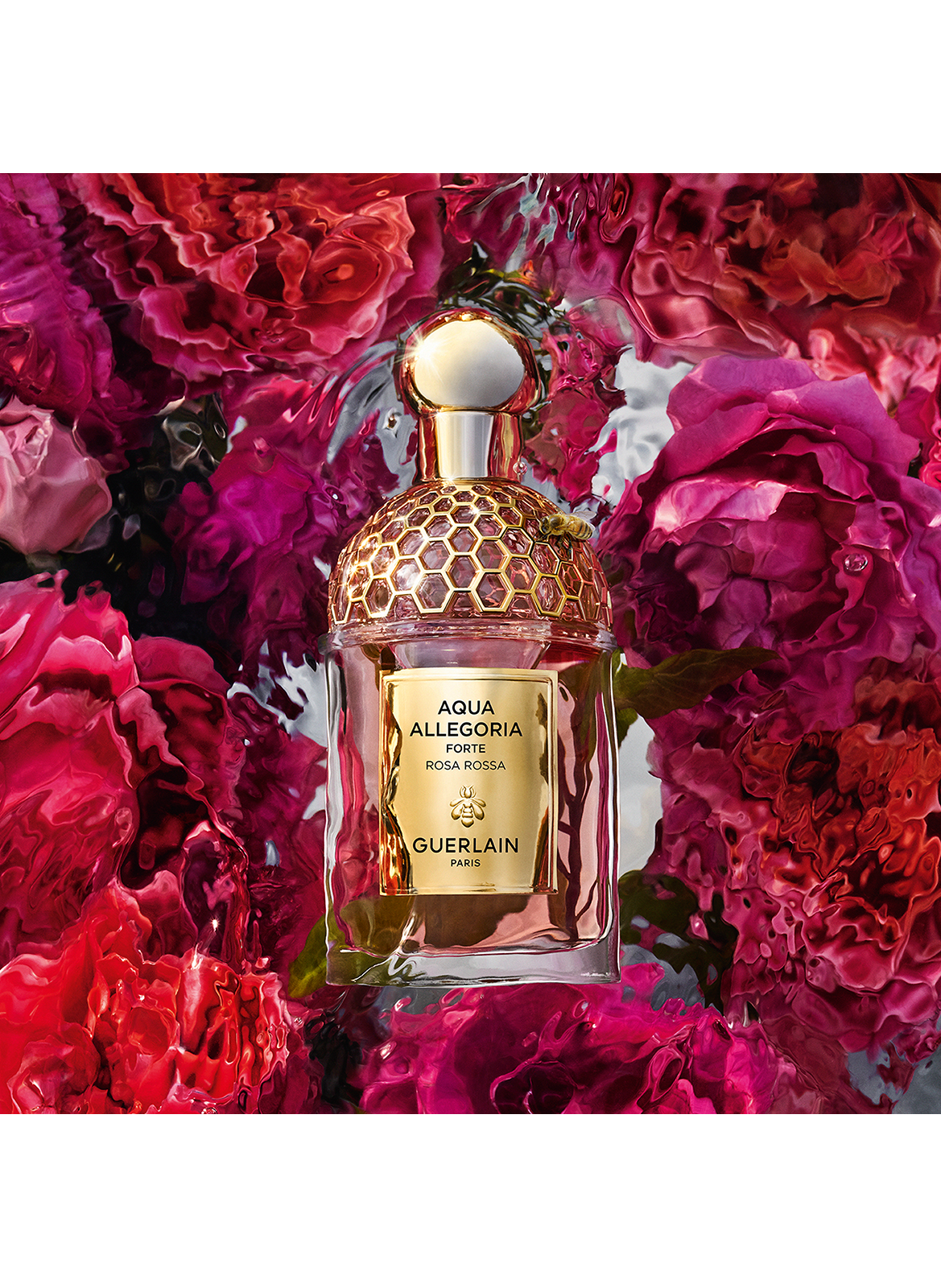 AQUA ALLEGORIA FORTE Rosa Rossa - Eau de Parfum GUERLAIN No color