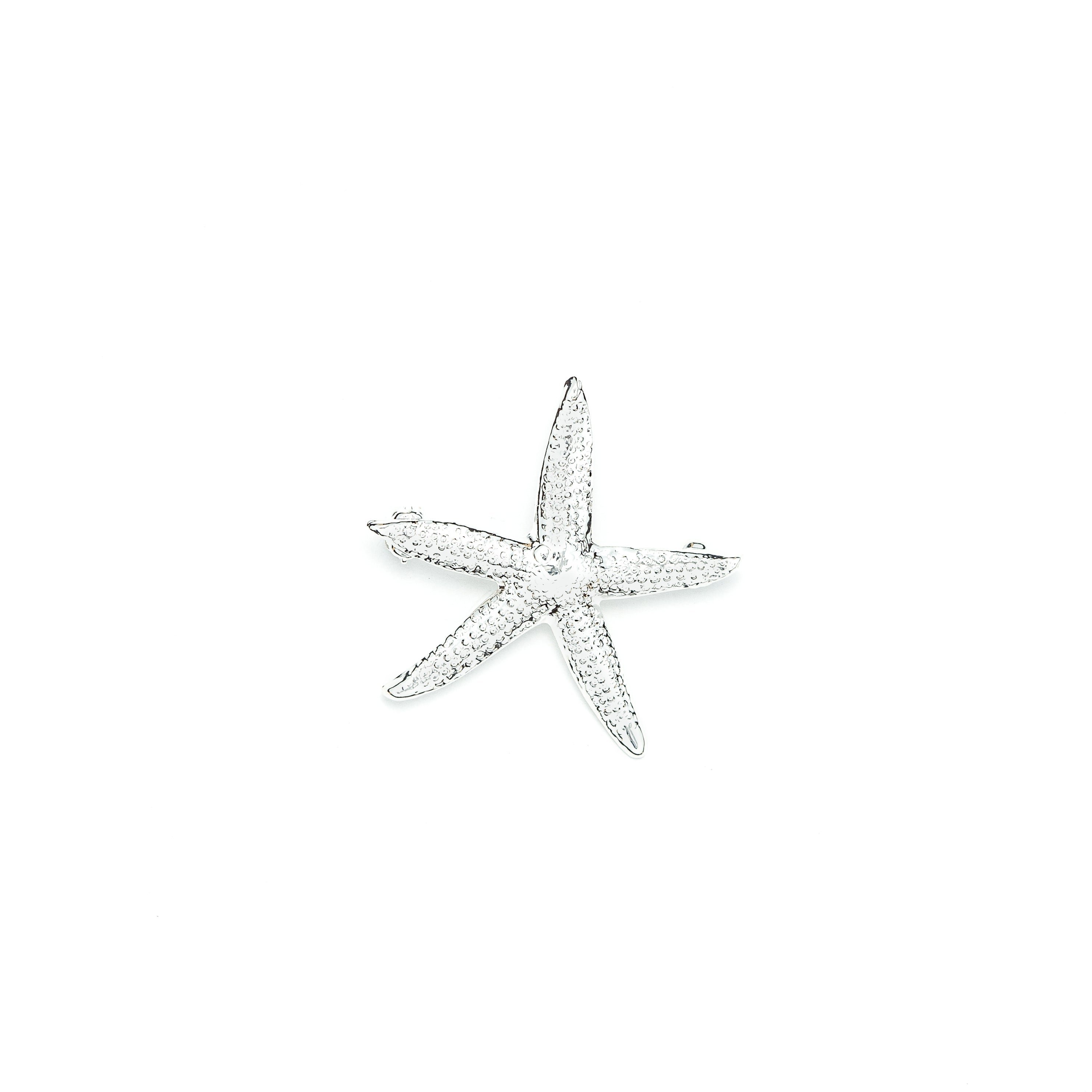 Silver plated star brooch MONSIEUR SIMONE Silver