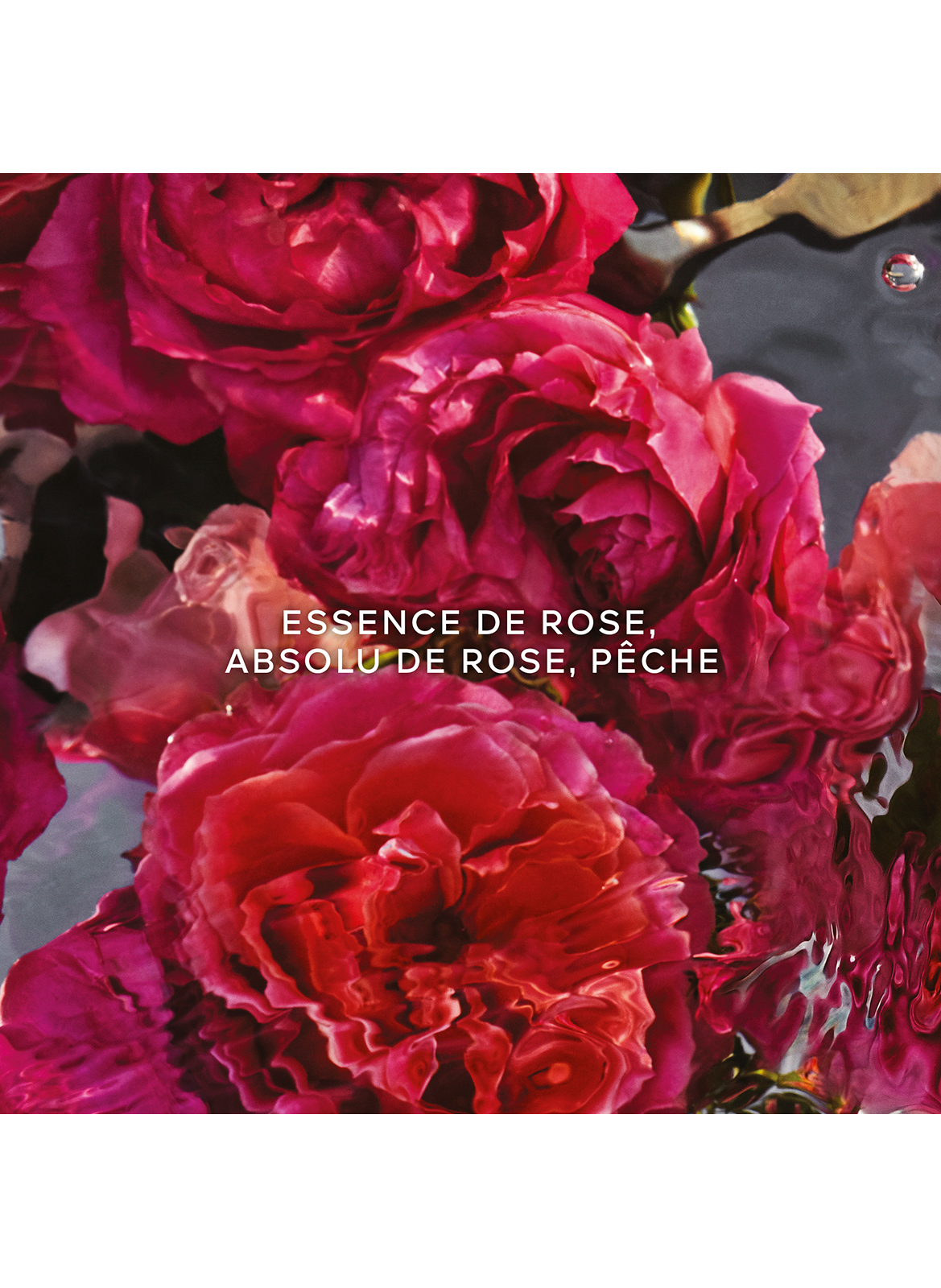 AQUA ALLEGORIA FORTE Rosa Rossa - Eau de Parfum GUERLAIN No color