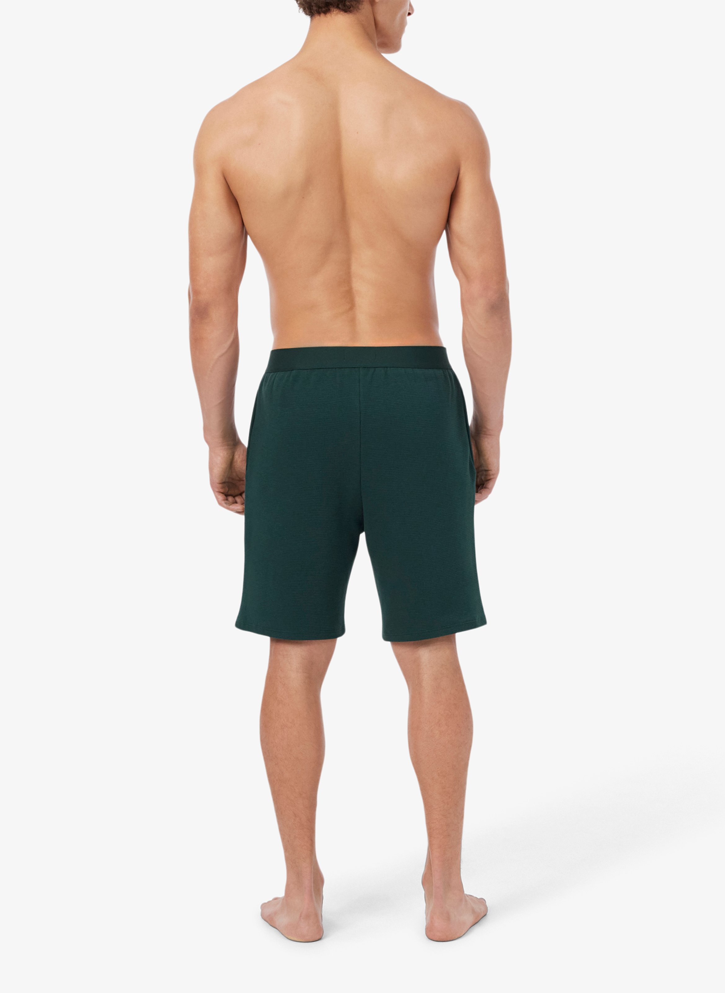 Short droit en coton LACOSTE Grun