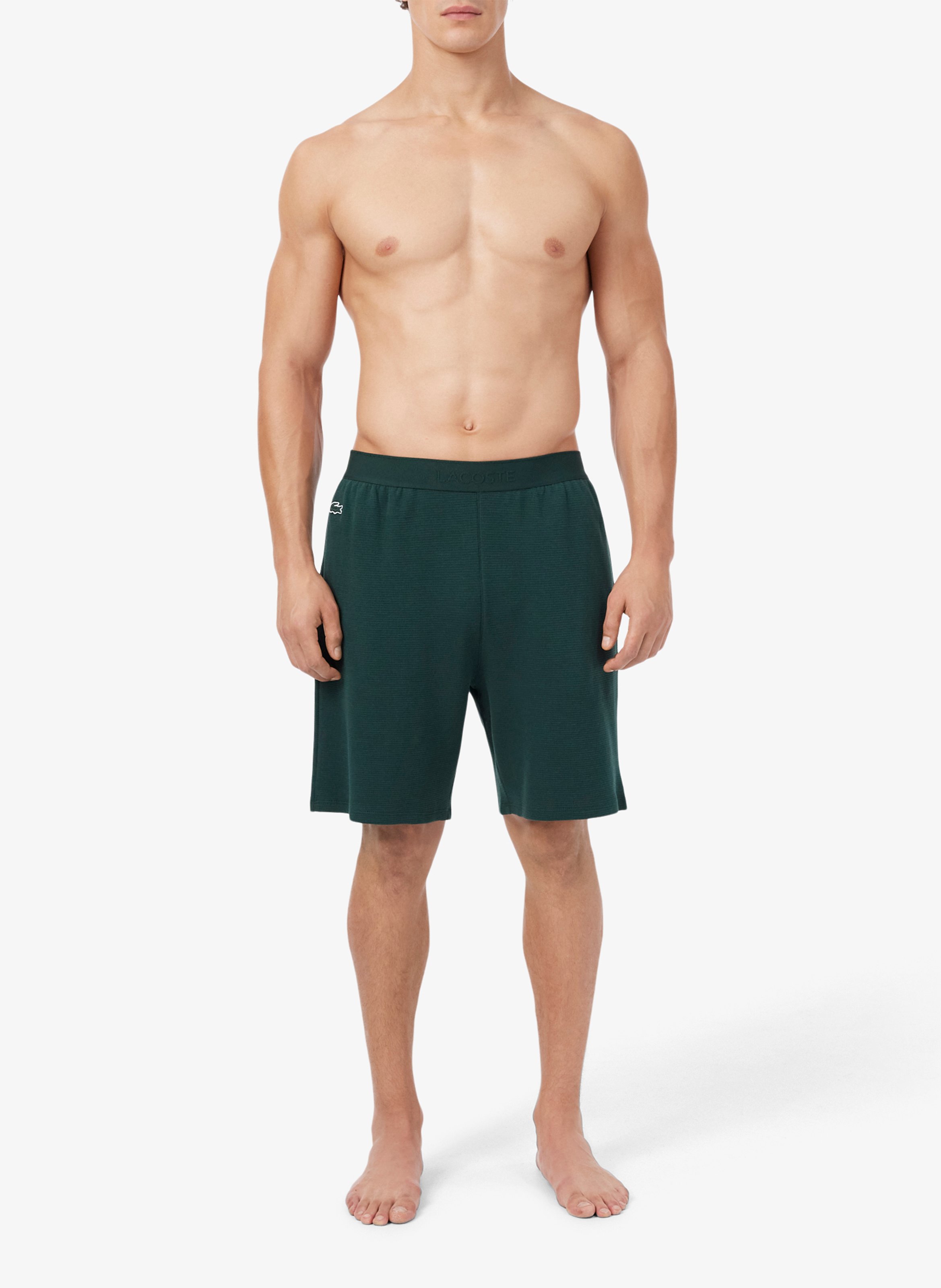 Short droit en coton LACOSTE Grun